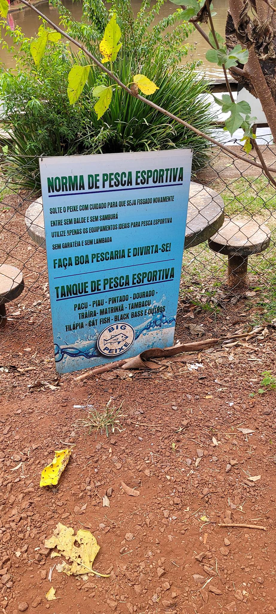 Big Peixe Cascavel cardápio