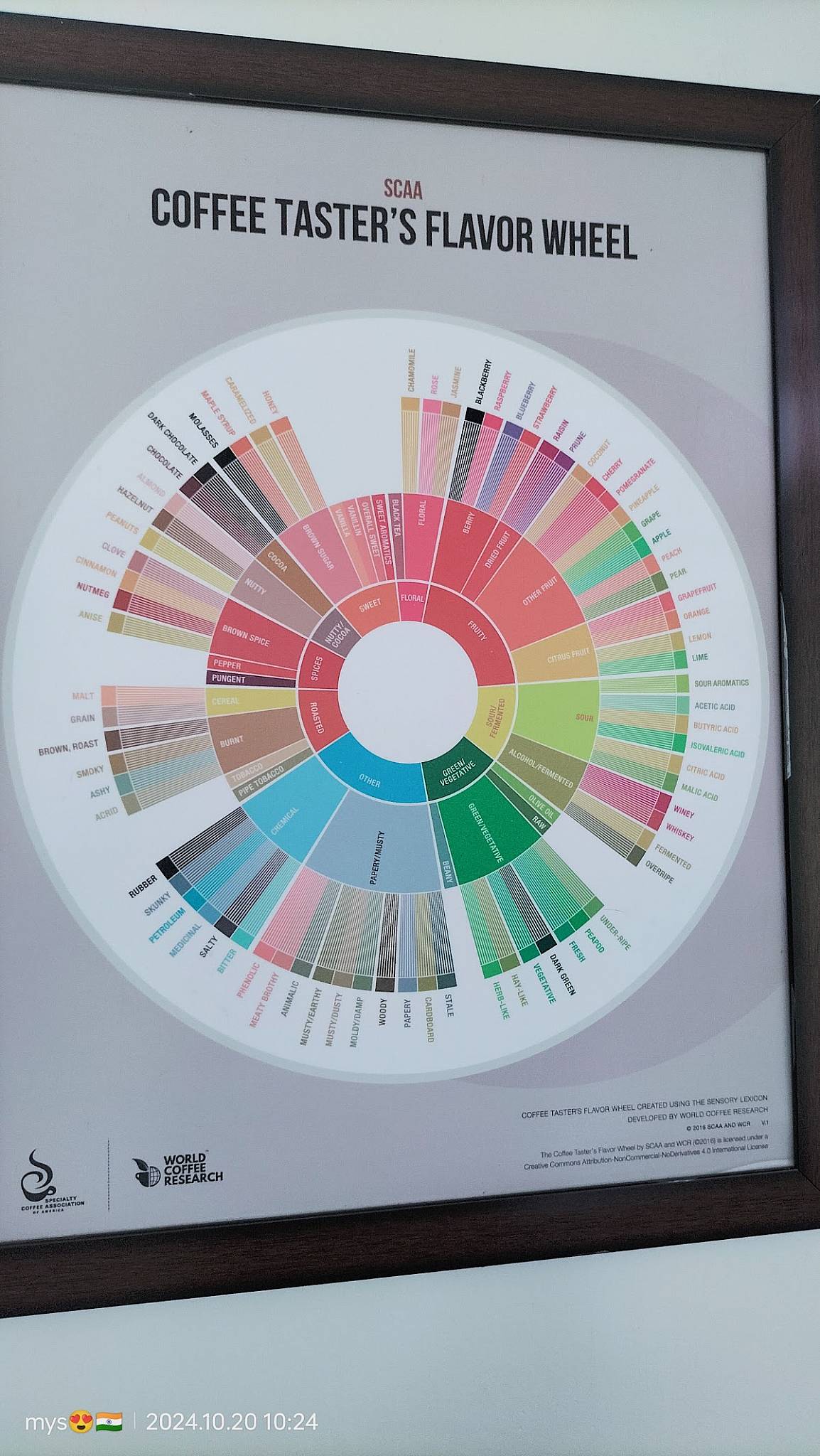 Big Cup Cafe Mysuru menu
