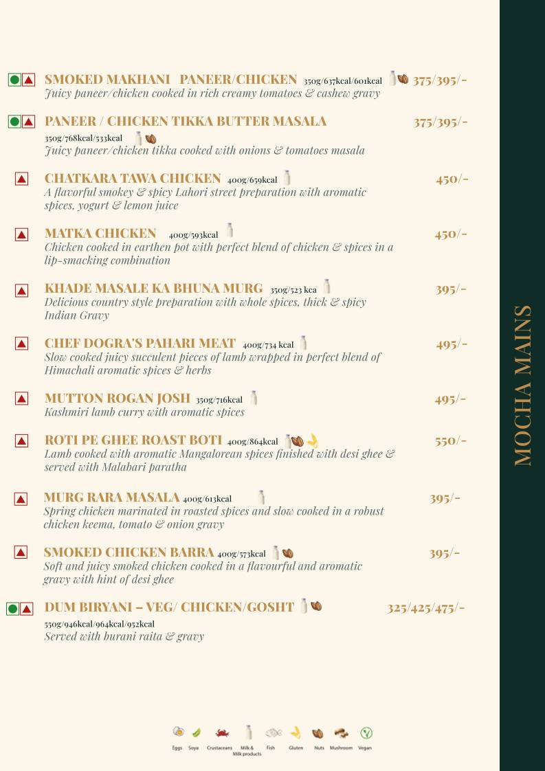 Mocha Udaipur menu