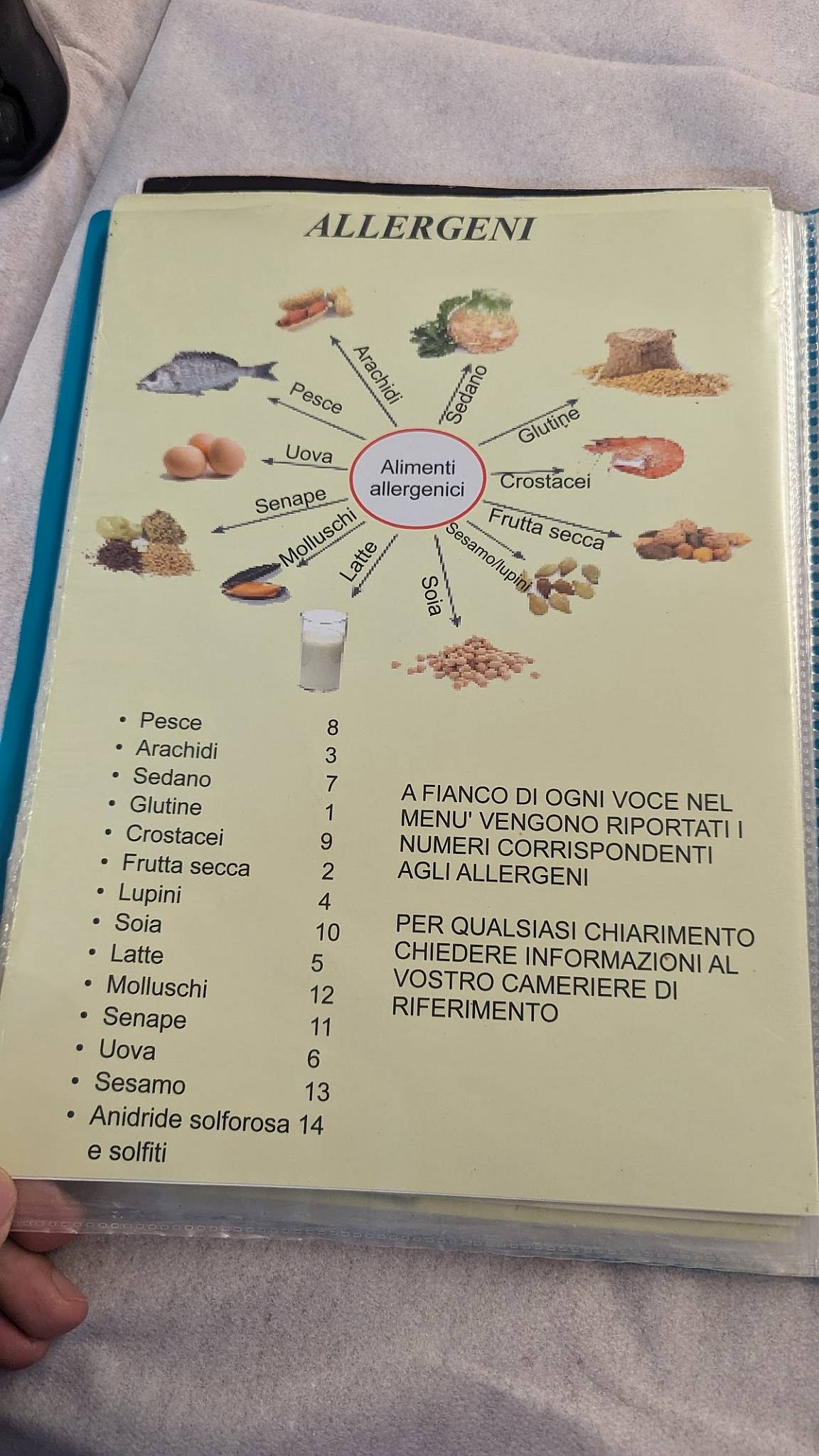 Menu di Ristorante Pizzeria Nonno Papero 