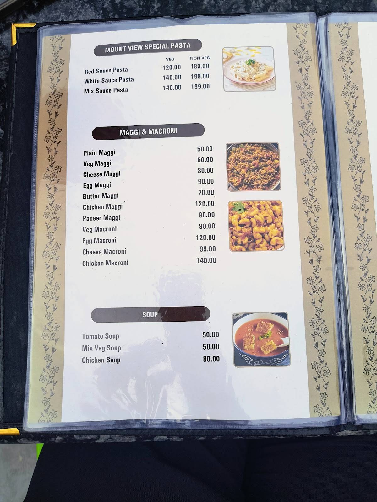 Mount View Cafe& Restro menu