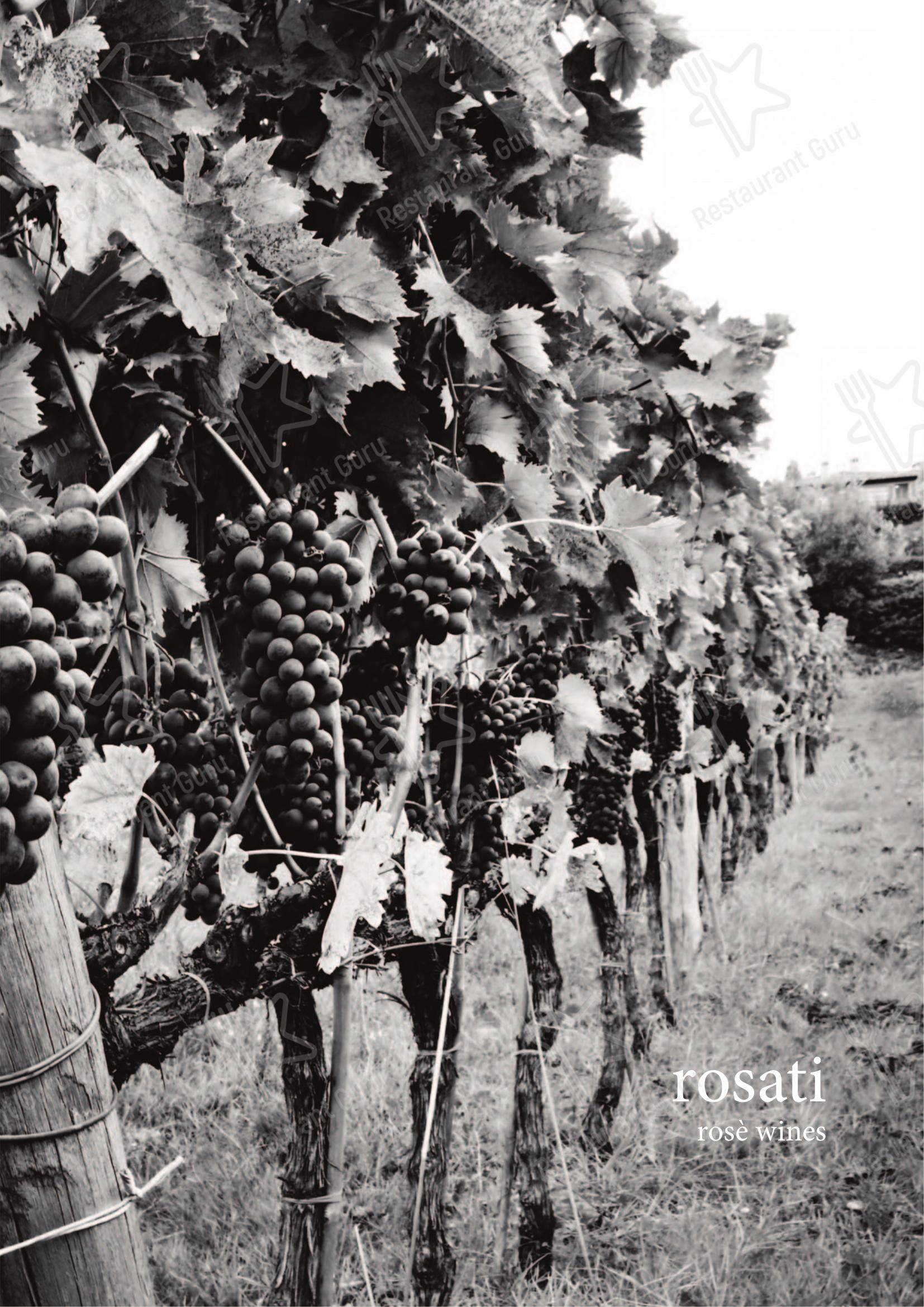 Vyta in Roma - 菜单