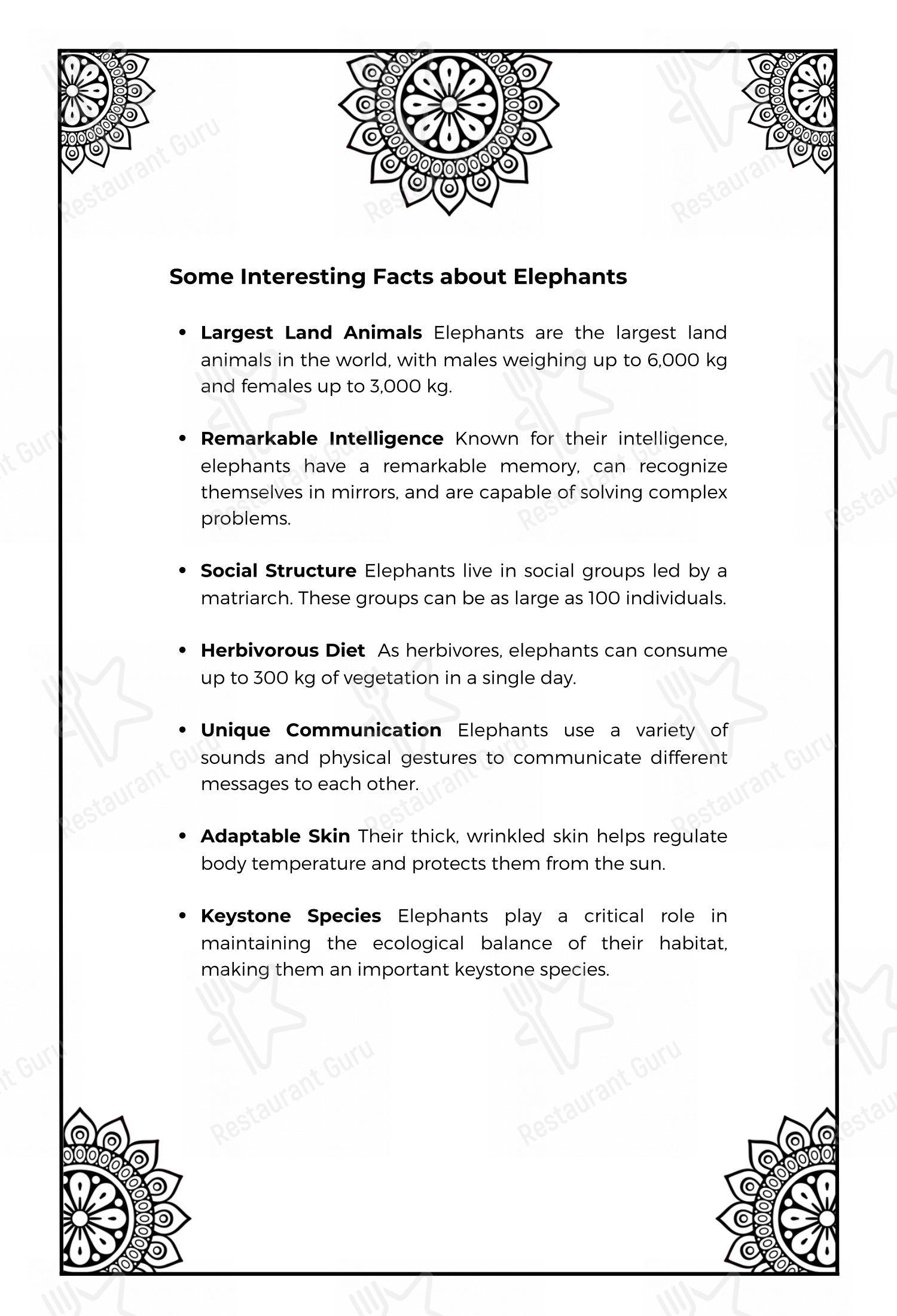 The Sitting Elephant - A Rooftop Restaurant Overlooking River Ganga in Rishikesh - Menu