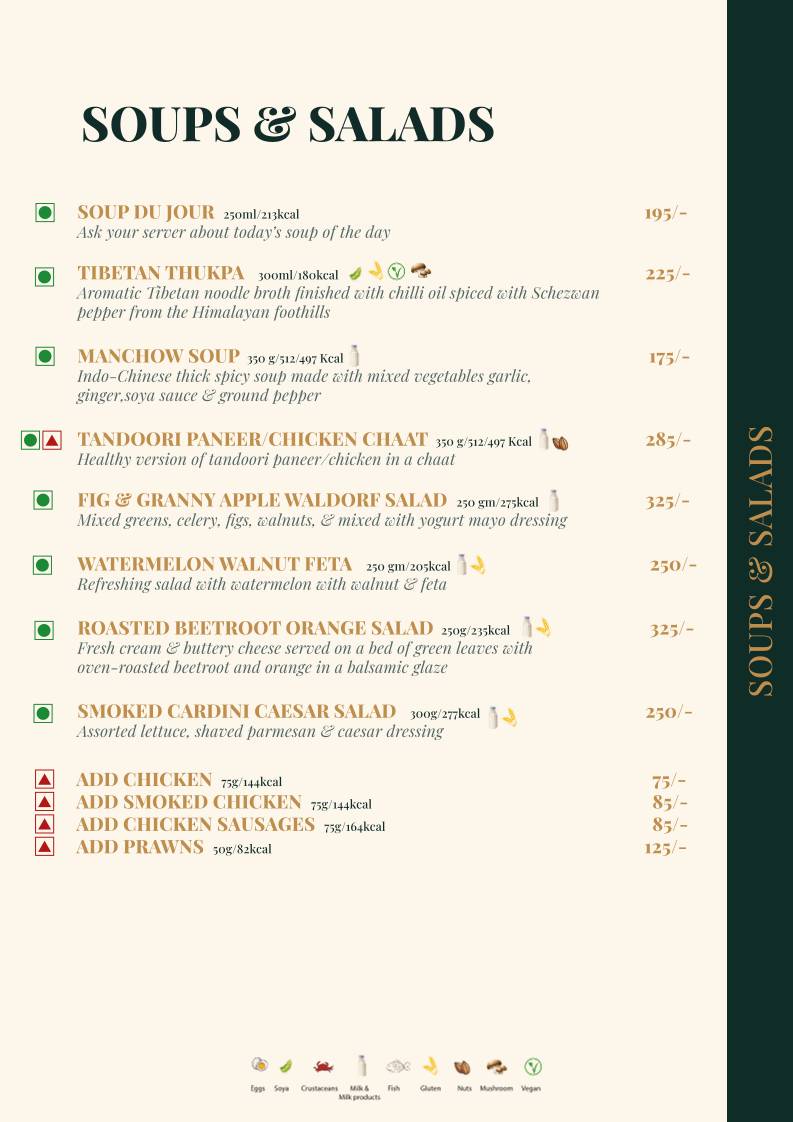 Mocha Udaipur menu