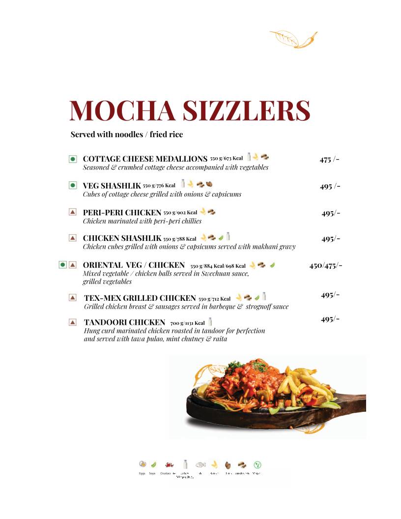 Mocha Udaipur menu