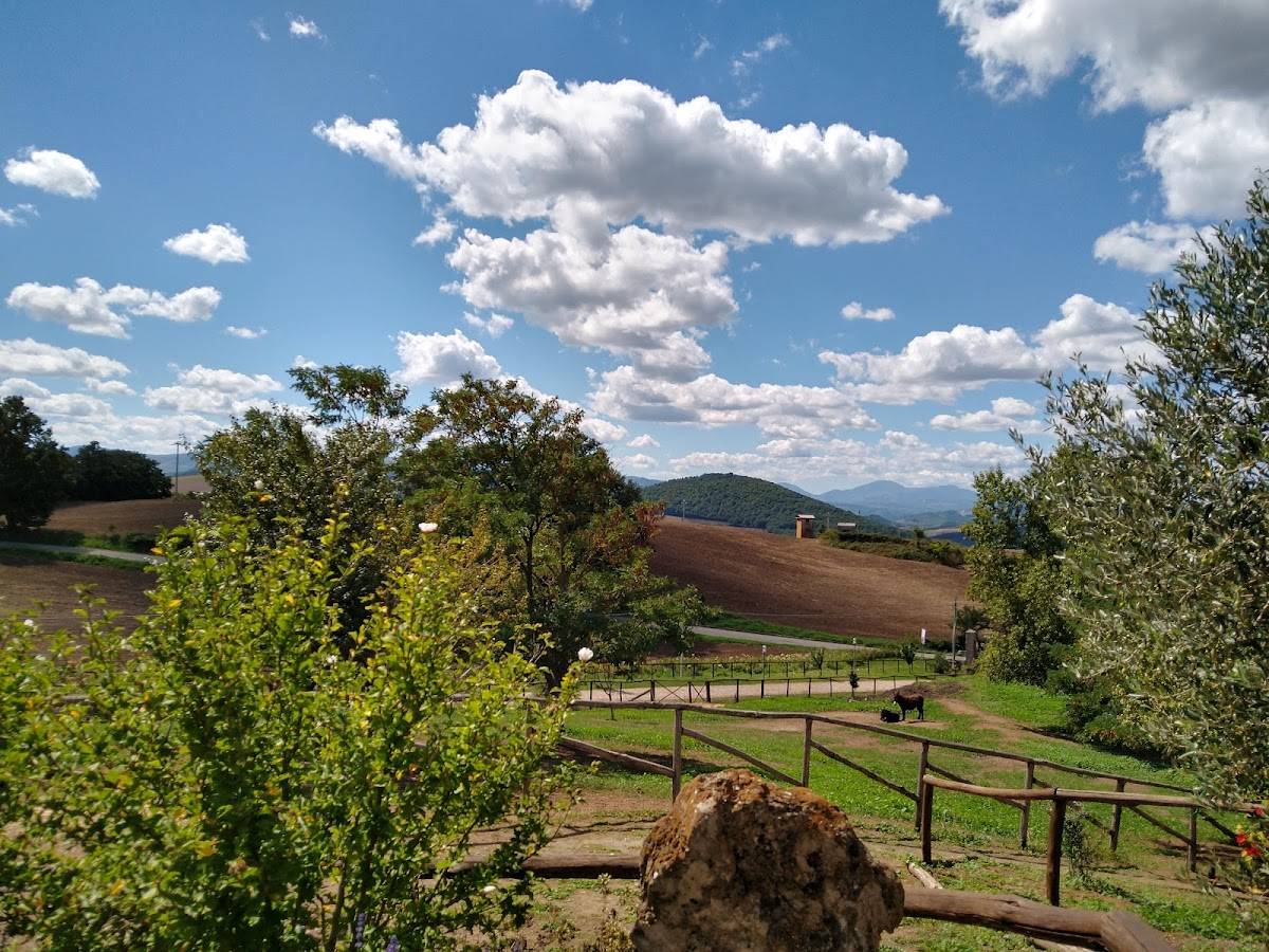 Menu di Agriturismo Il Riccio 
