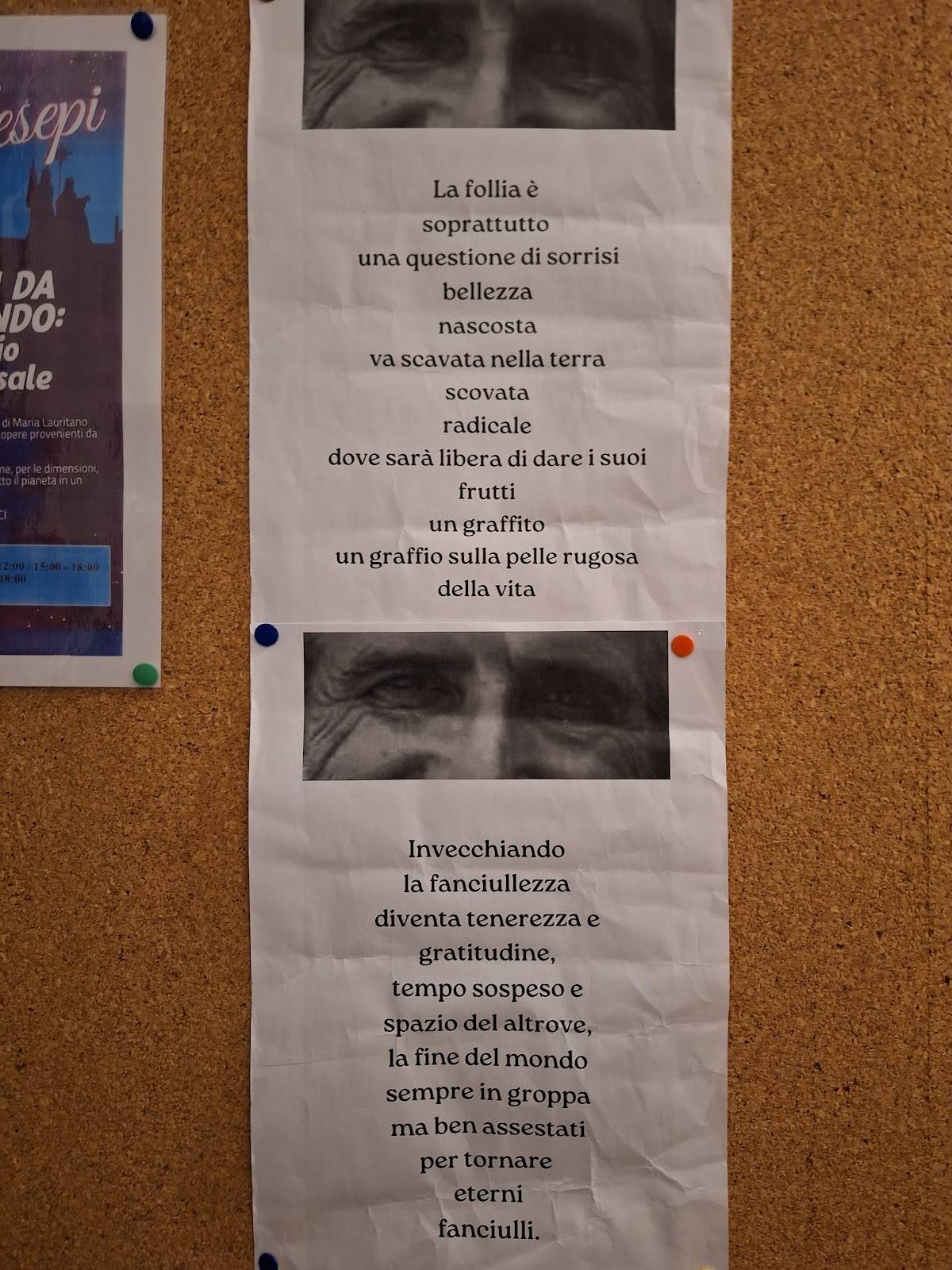Menu di Asylum Bees-trò 