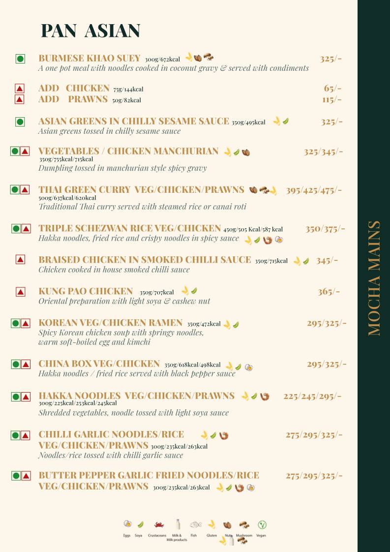 Mocha Udaipur menu