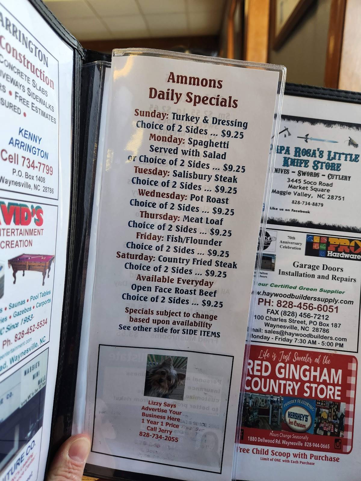 Menu at Ammons' Drive Inn & Dairy Bar, Waynesville