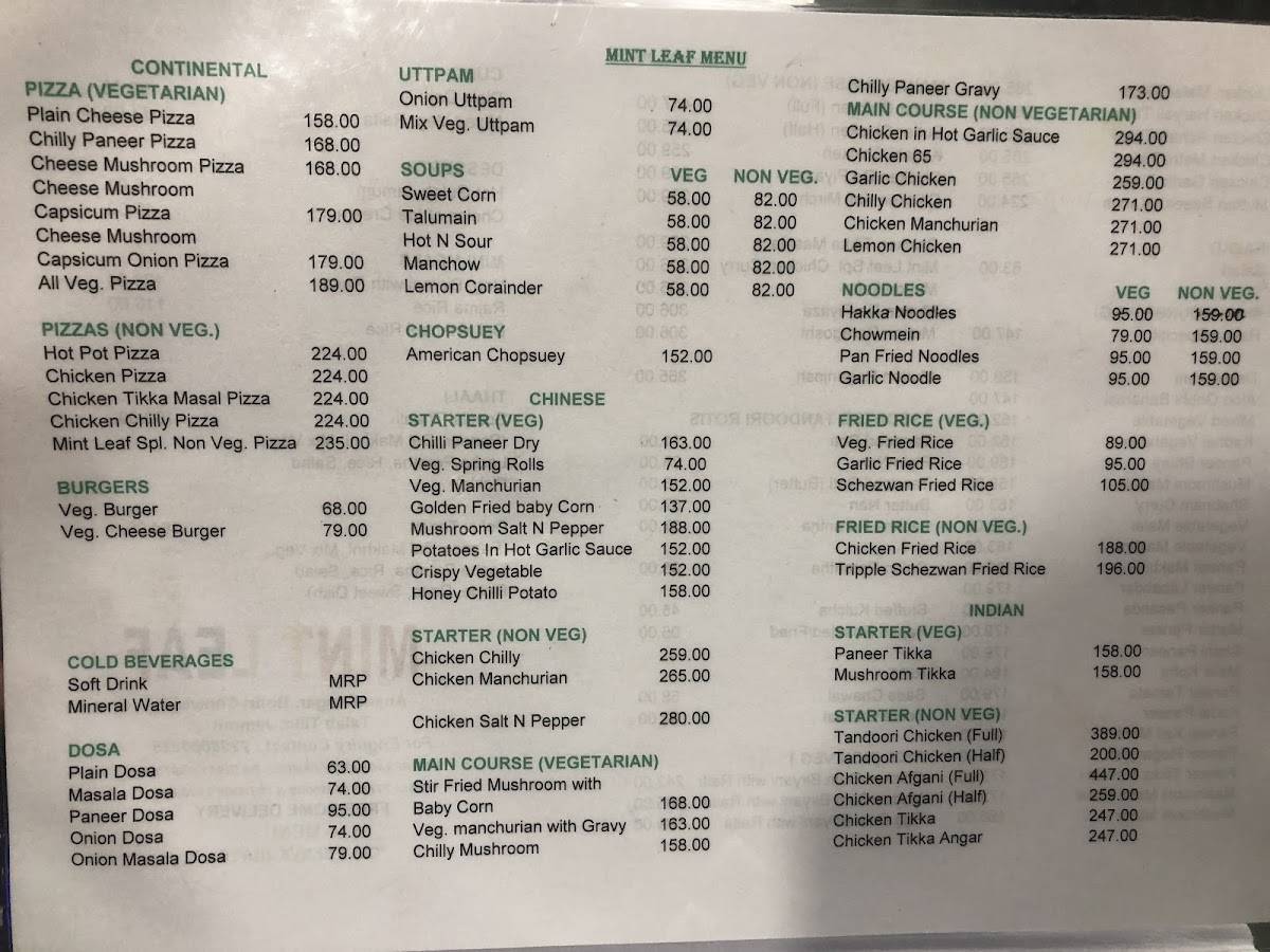 Menu at Mint Leaf, Jammu, Anand Nagar Road