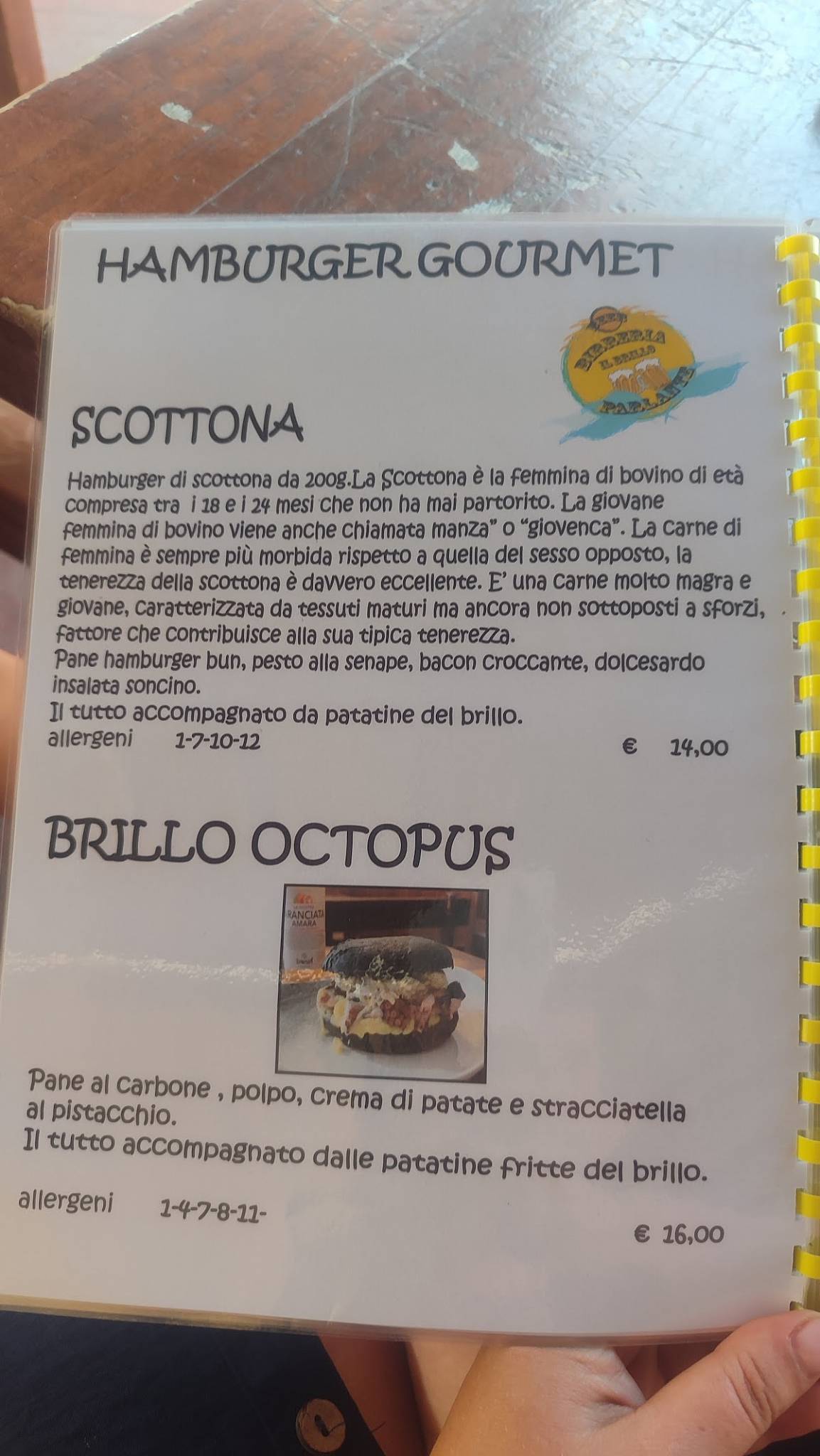 Menu di Il Brillo Parlante 