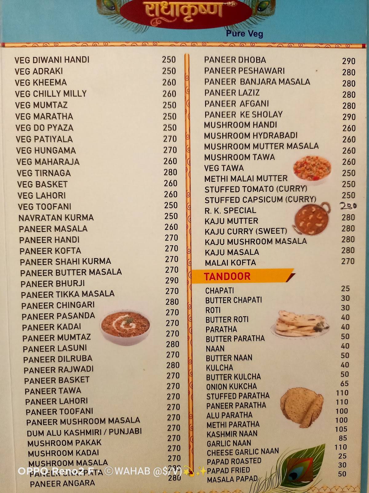 Radhakrishna Pure Veg menu