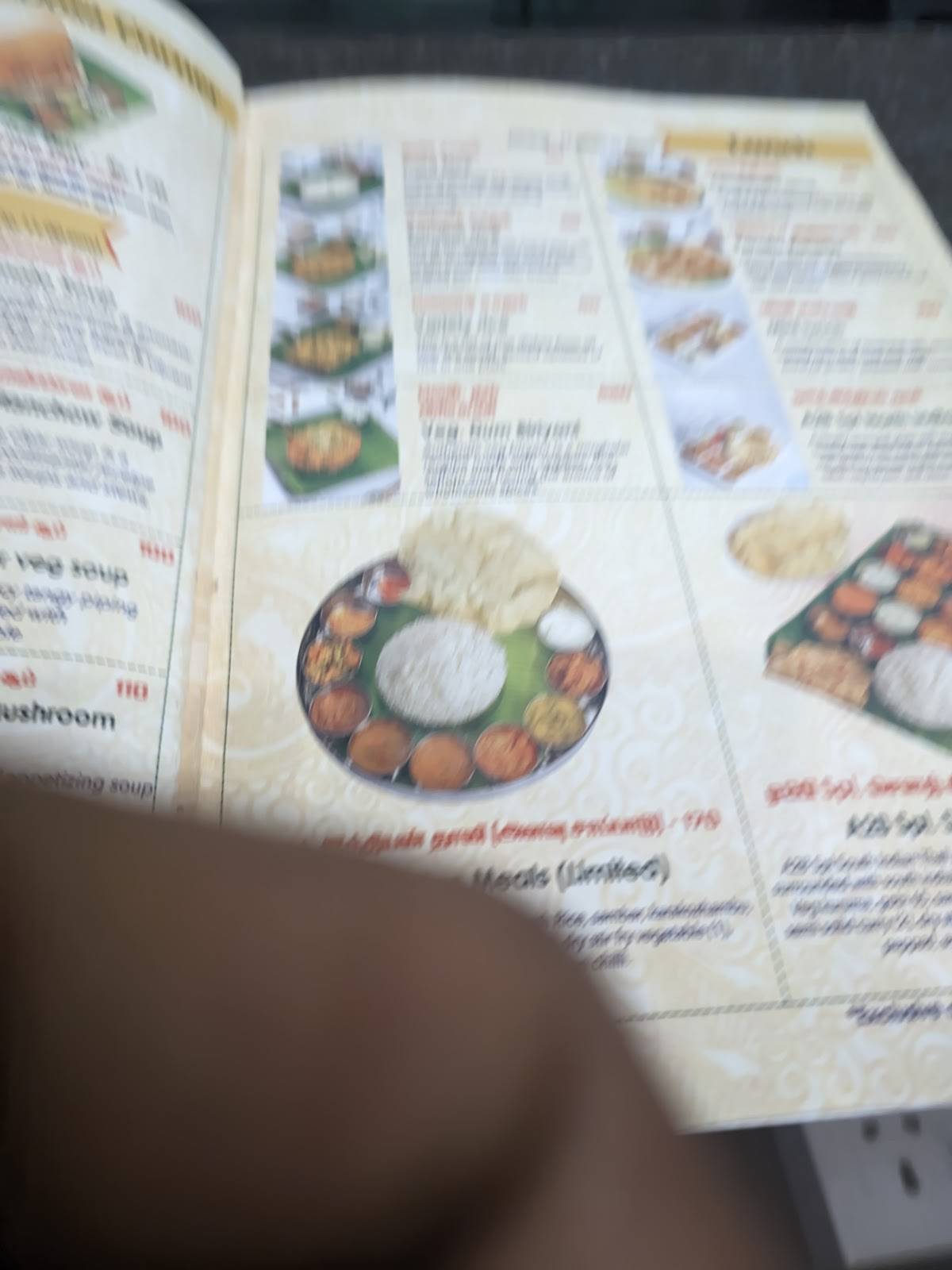 Adyar Ananda Bhavan - A2B menu