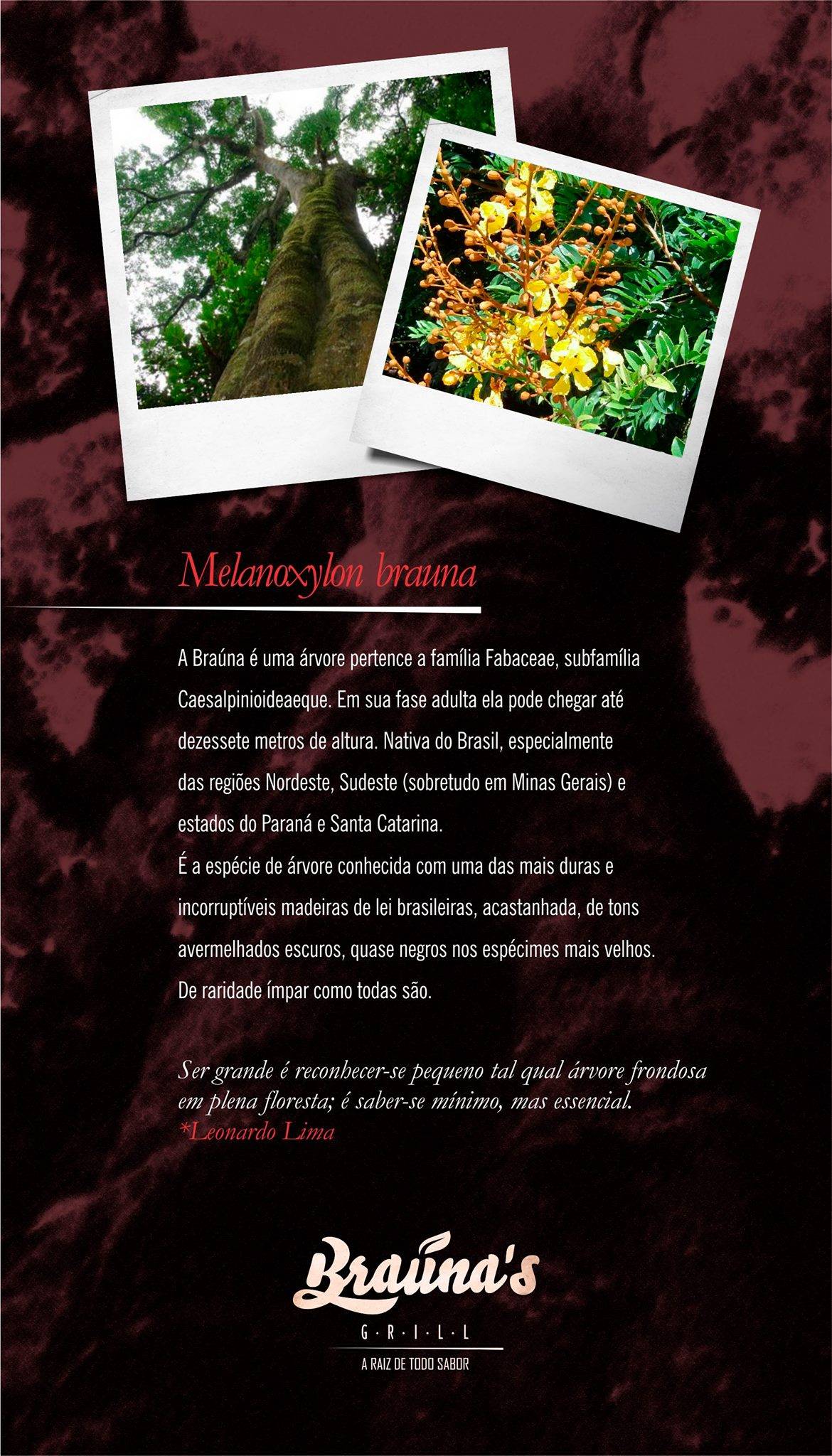 Braúnas Grill cardápio