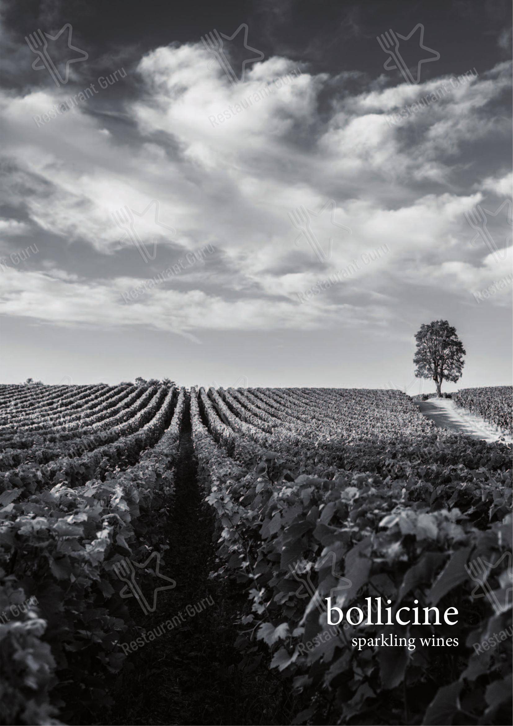 菜单 per Vyta pub & bar