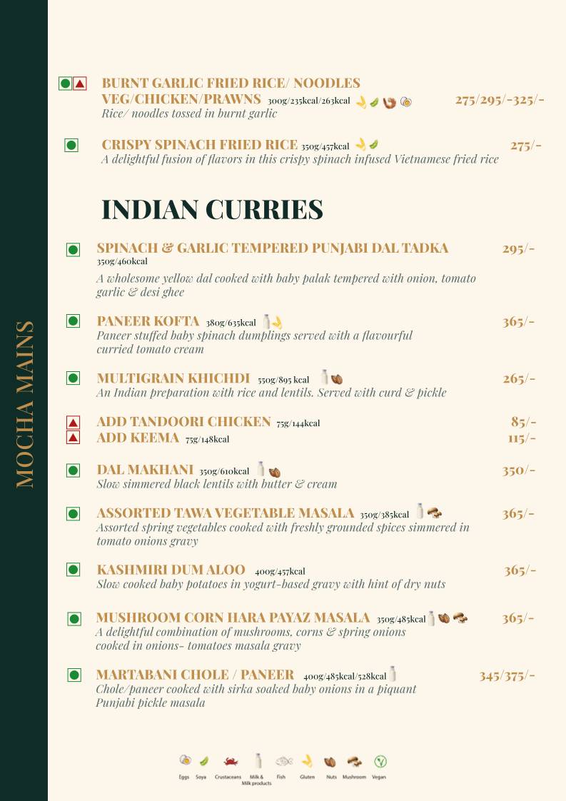 Mocha Udaipur menu