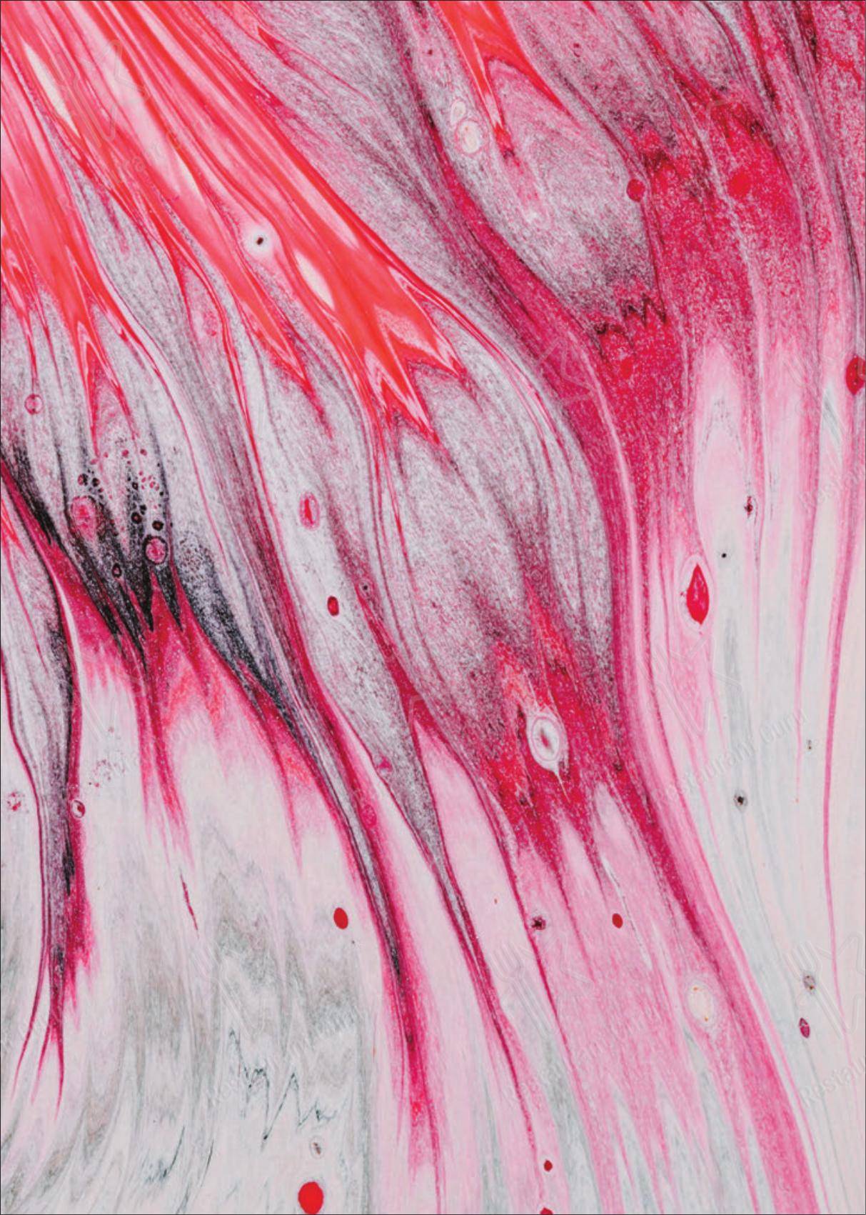 Основное меню per VyNIQUE Enoteca Regionale del Lazio in Roma