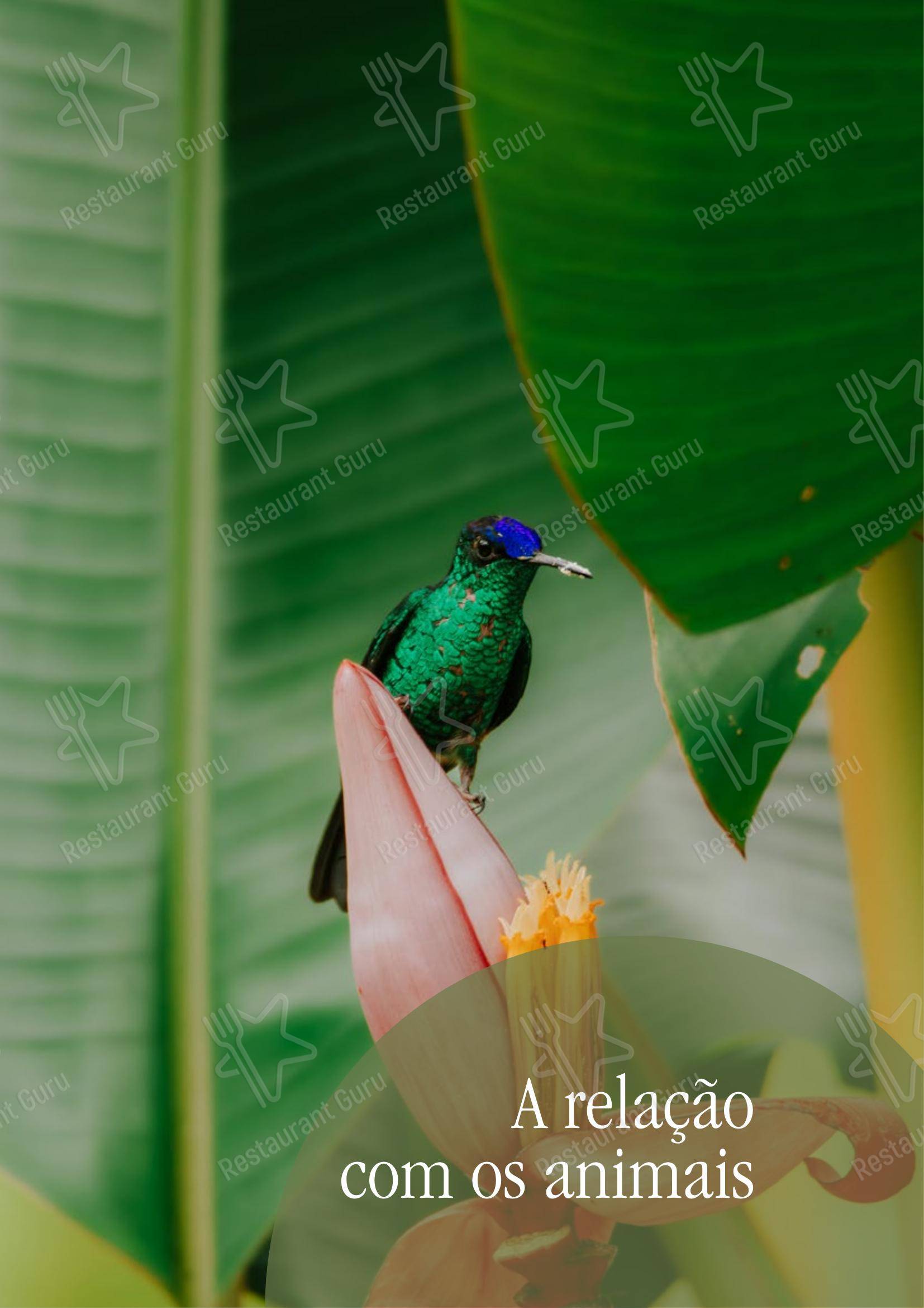 Quintal das Letras - Menu bar