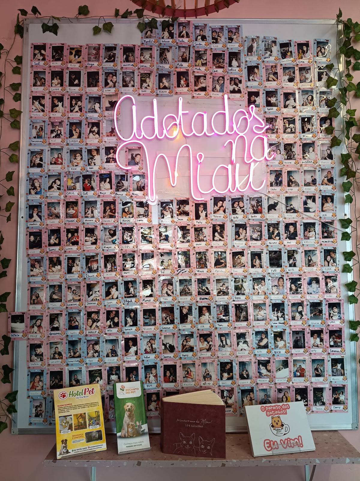 Miau Lovers cardápio