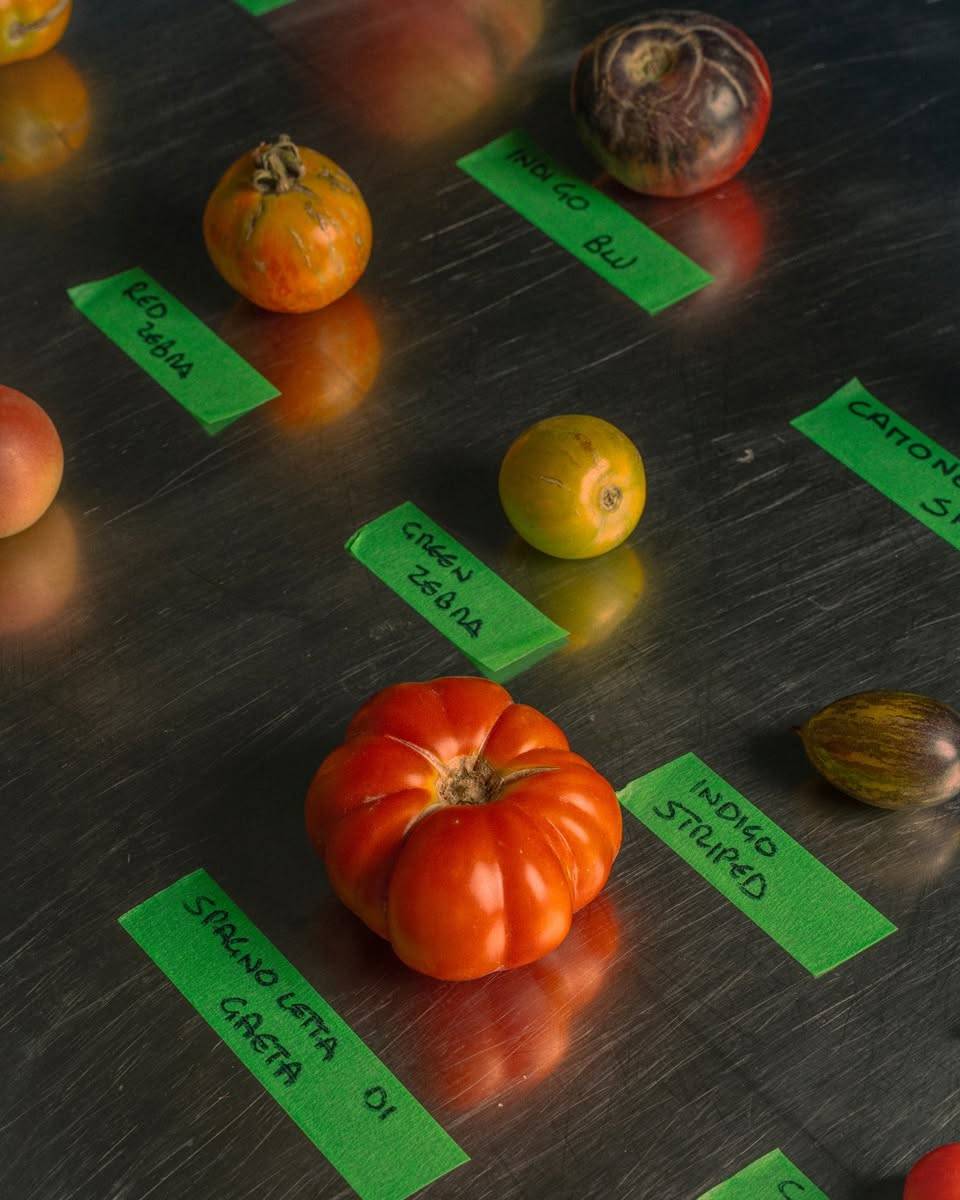 Menu de NuAN