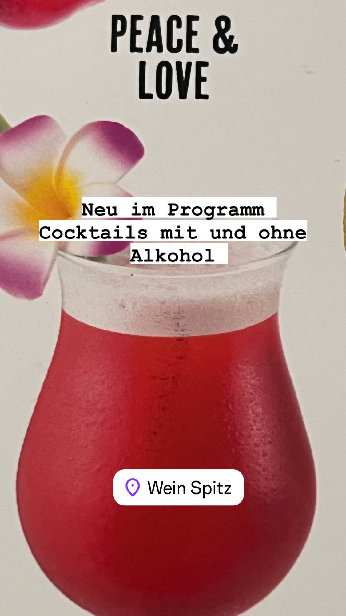 Menu de WeinSpitz-Lounge-Vinothek