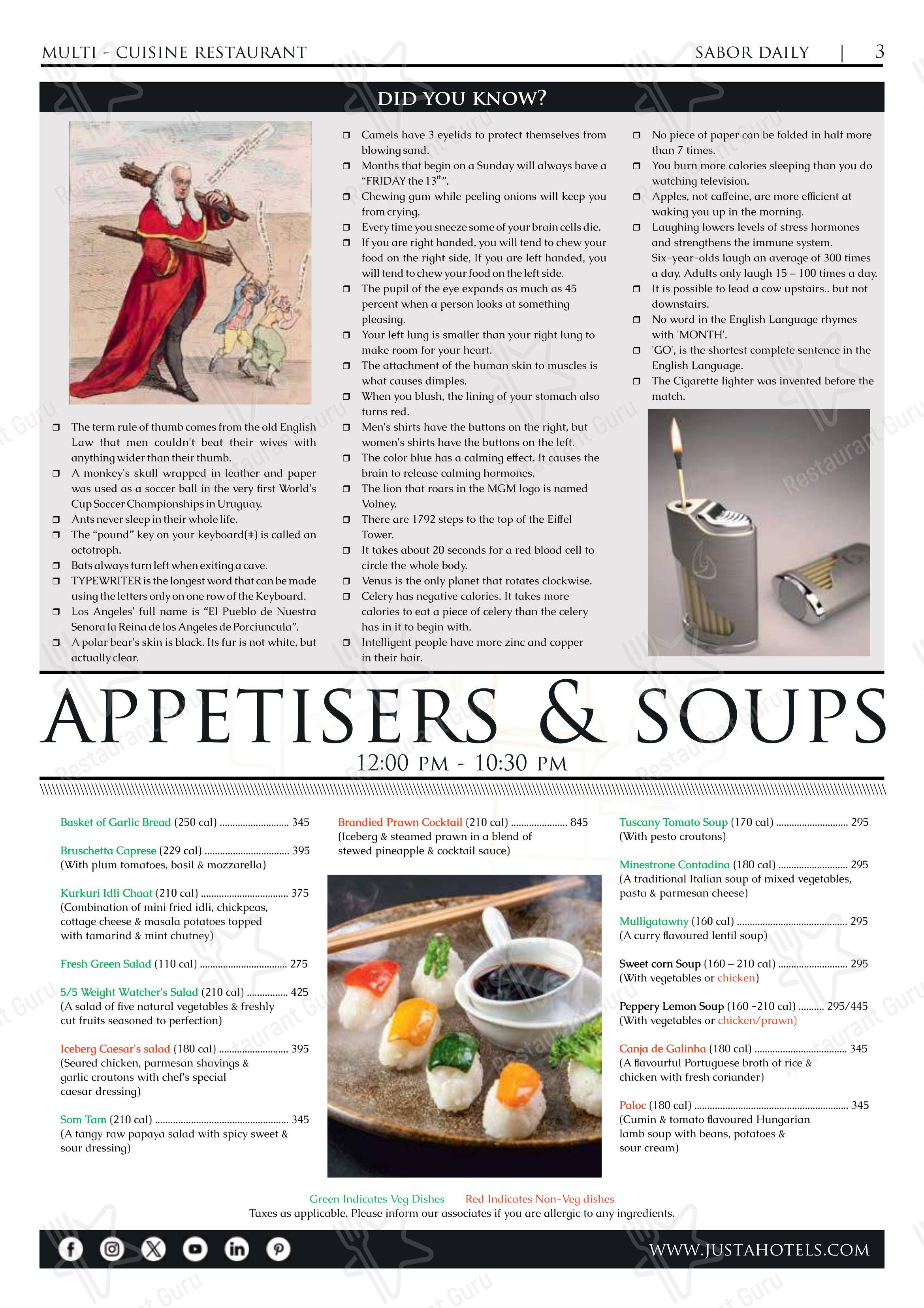 AIR, jüSTa Sajjangarh - Menu