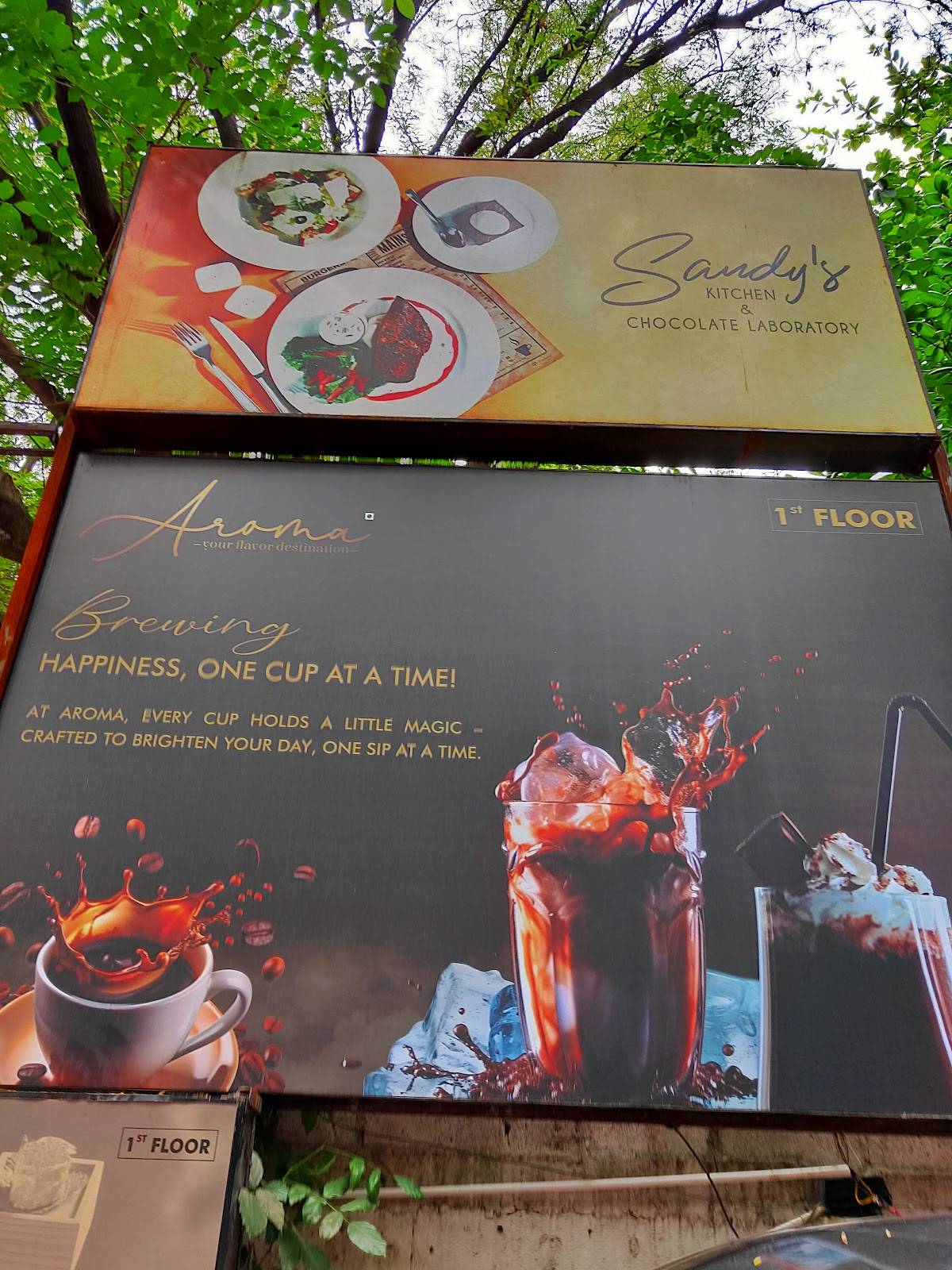 Aroma Pure Veg Restaurant menu