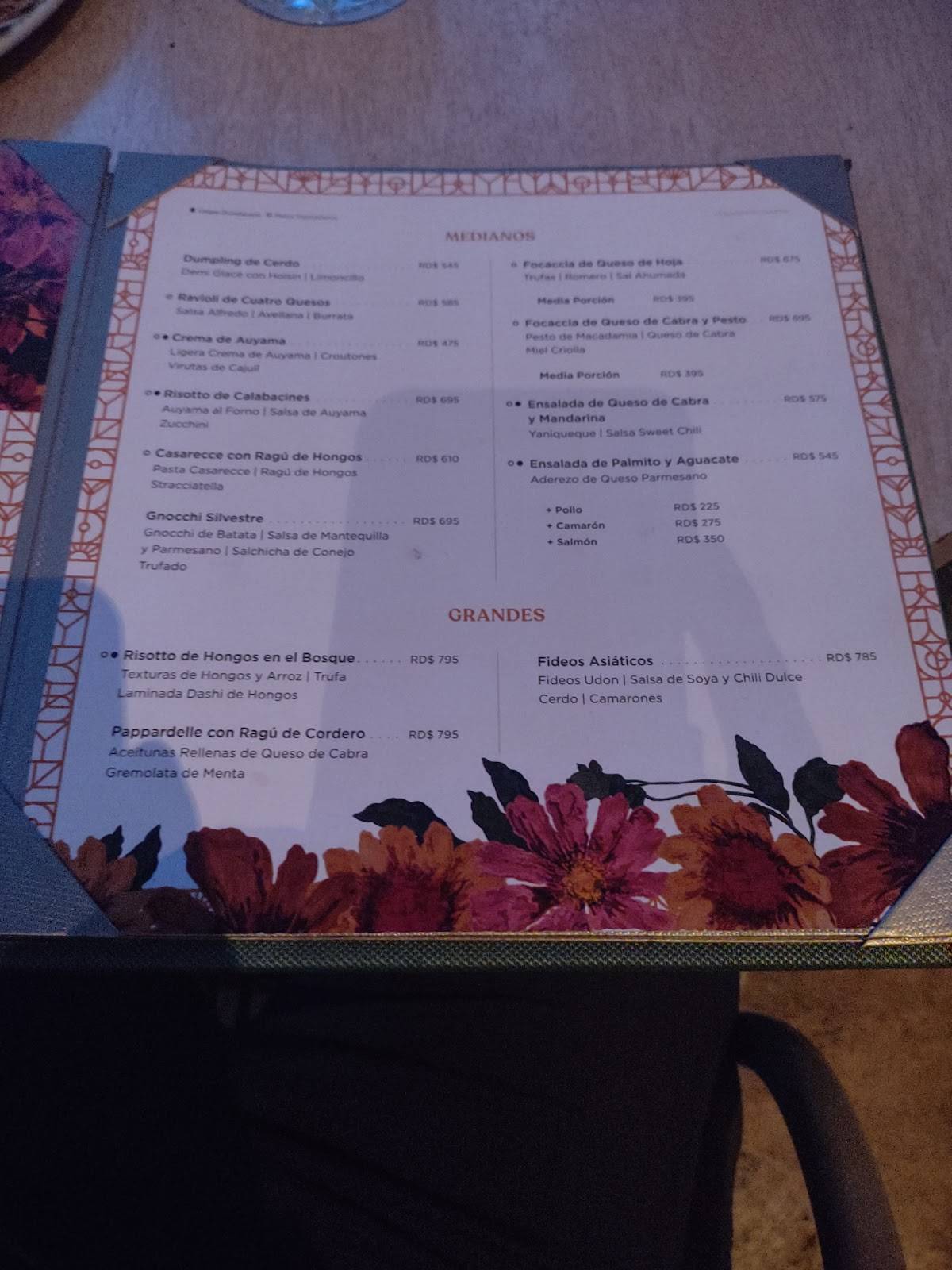 Menu at Maraca restaurant, Santo Domingo