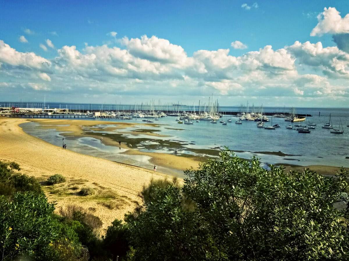 Sandringham Yacht Club menu