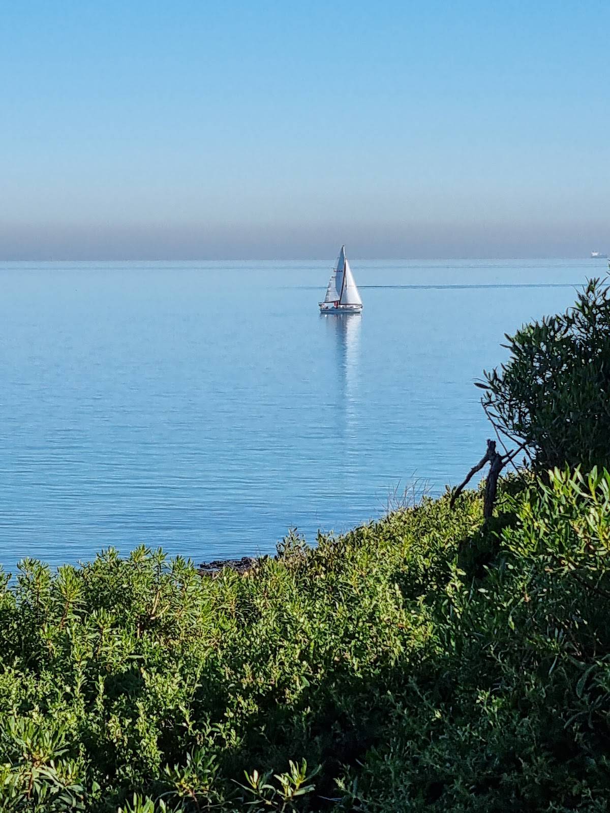 Sandringham Yacht Club menu