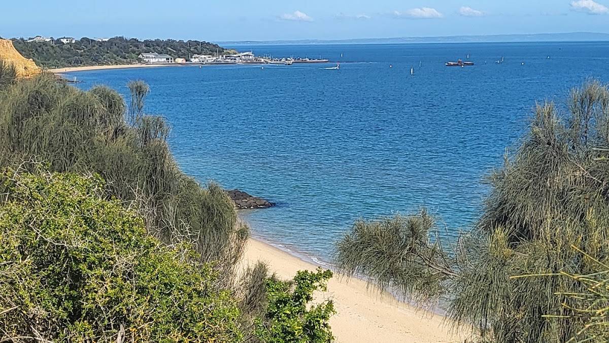 Sandringham Yacht Club menu