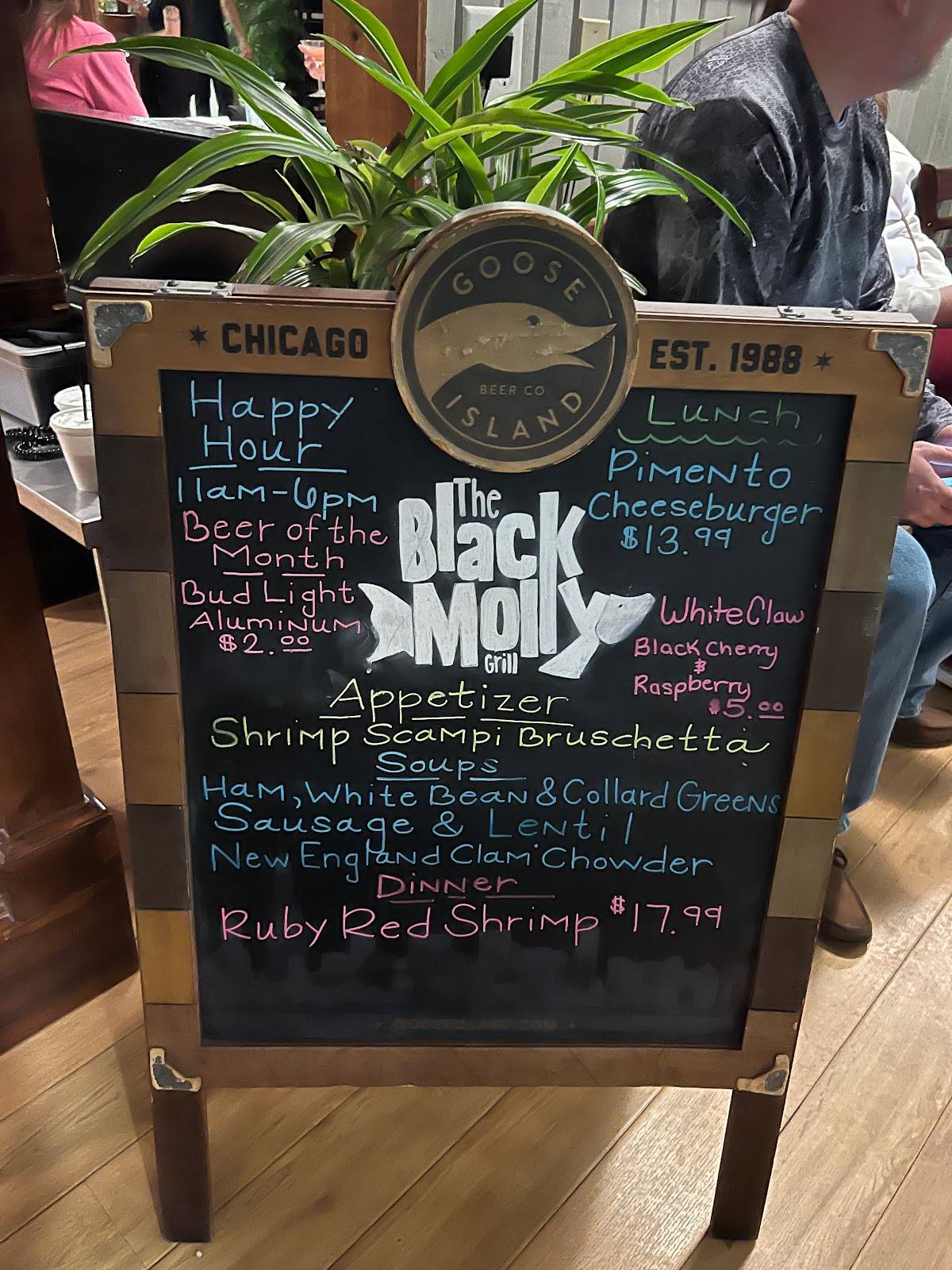 Menu at Black Molly Grill restaurant, St. Augustine