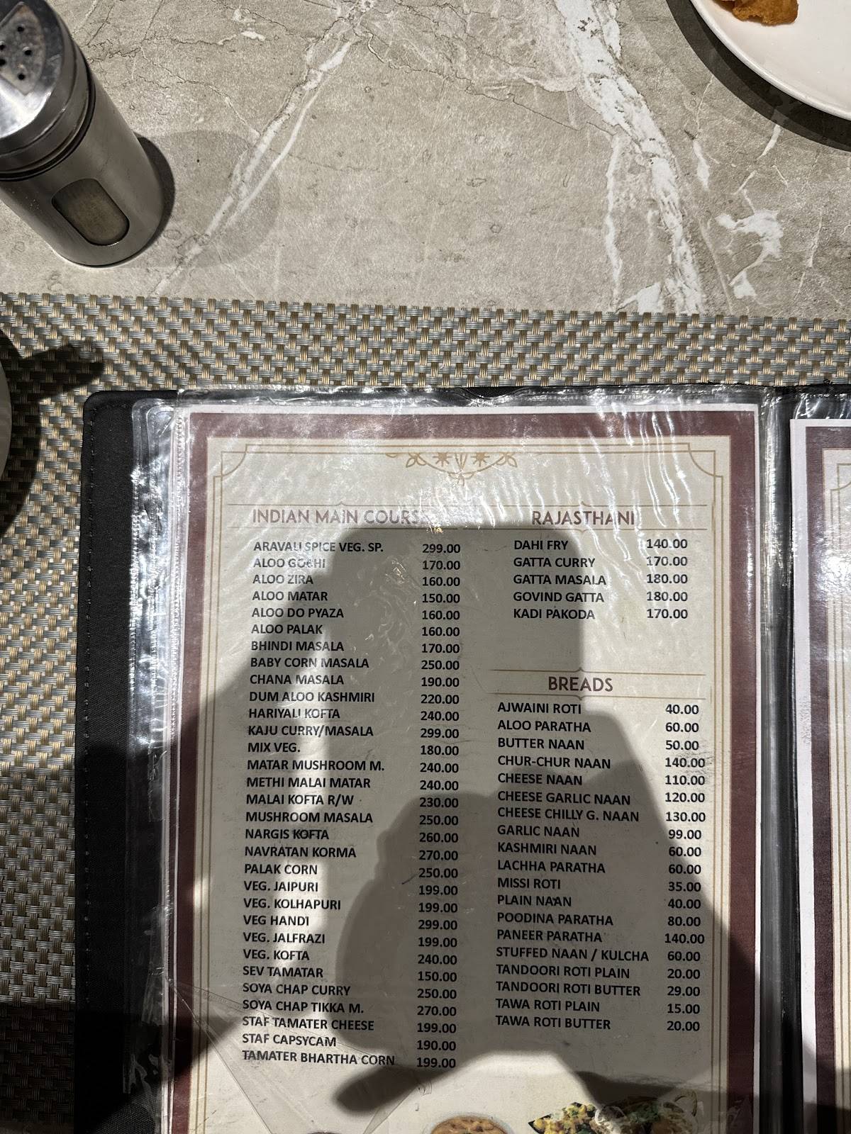 Aravali Spice Restro & Cafe menu