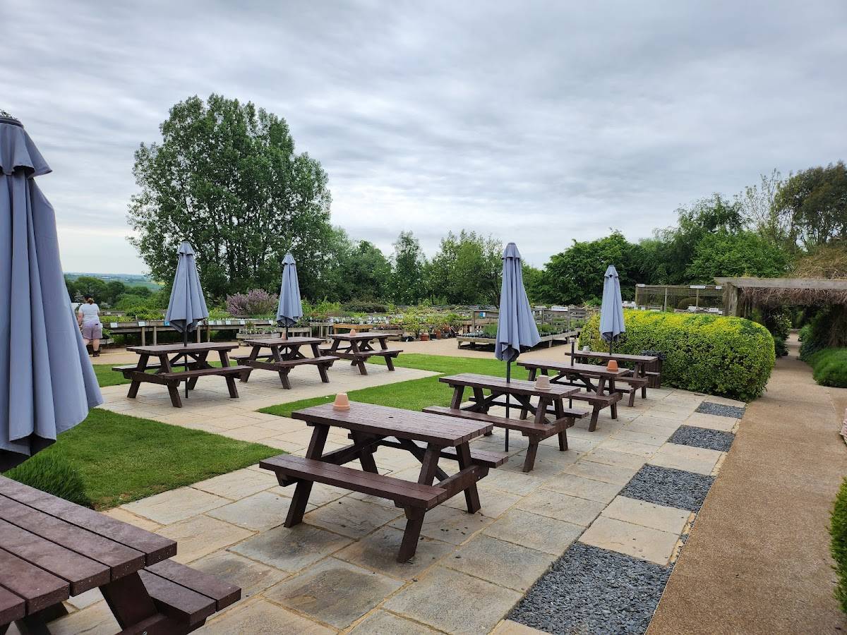 Menu at The National Herb Centre cafe, Banbury