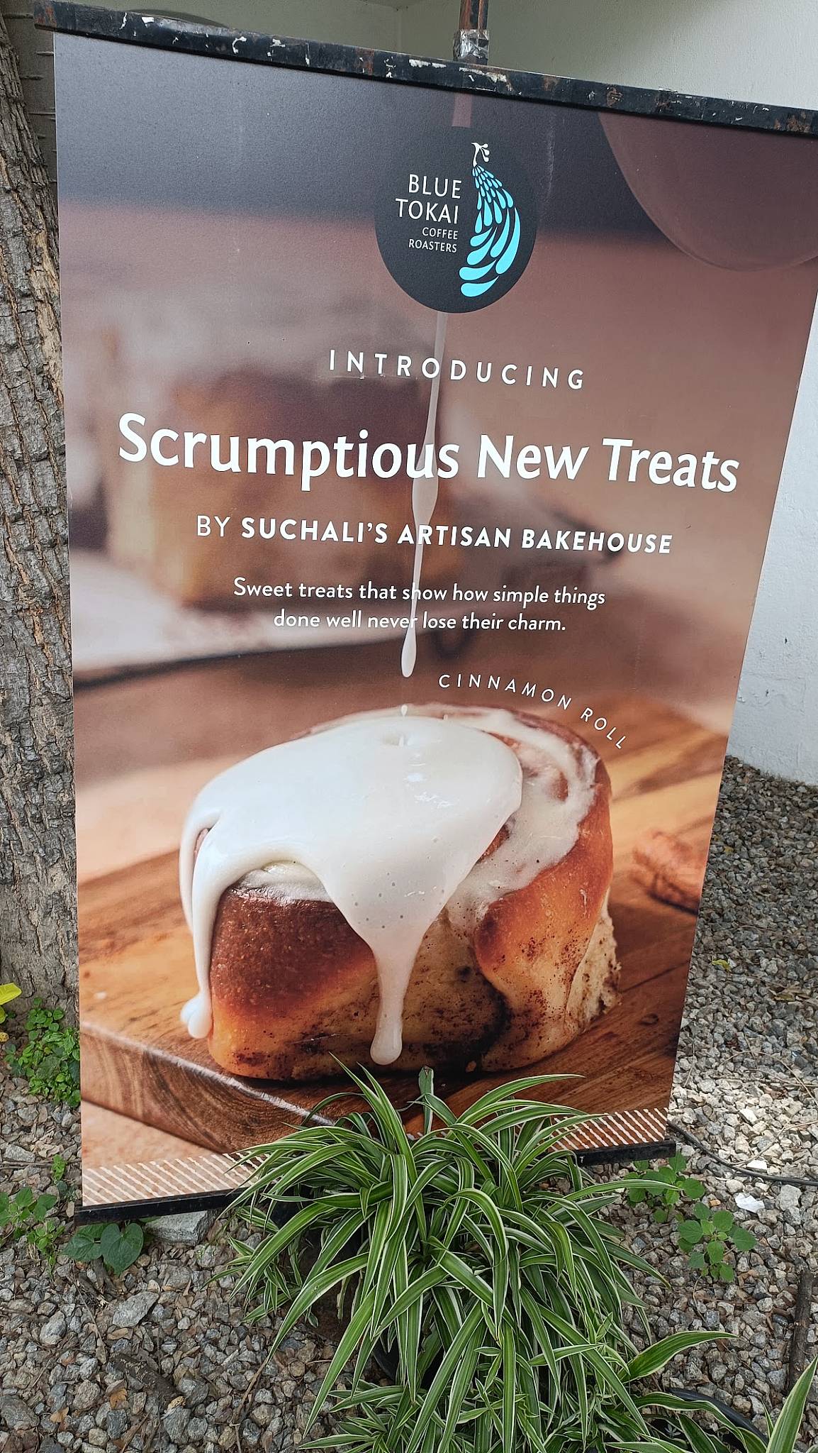 Blue Tokai Coffee Roasters Koramangala menu