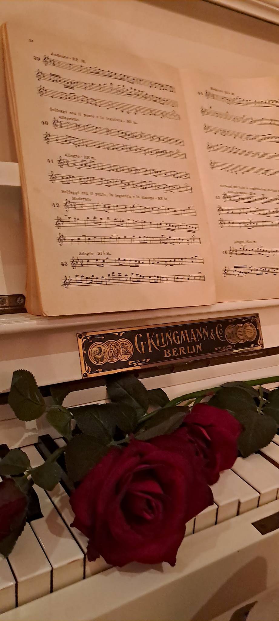 Menu de Ci Ritorno 2.2