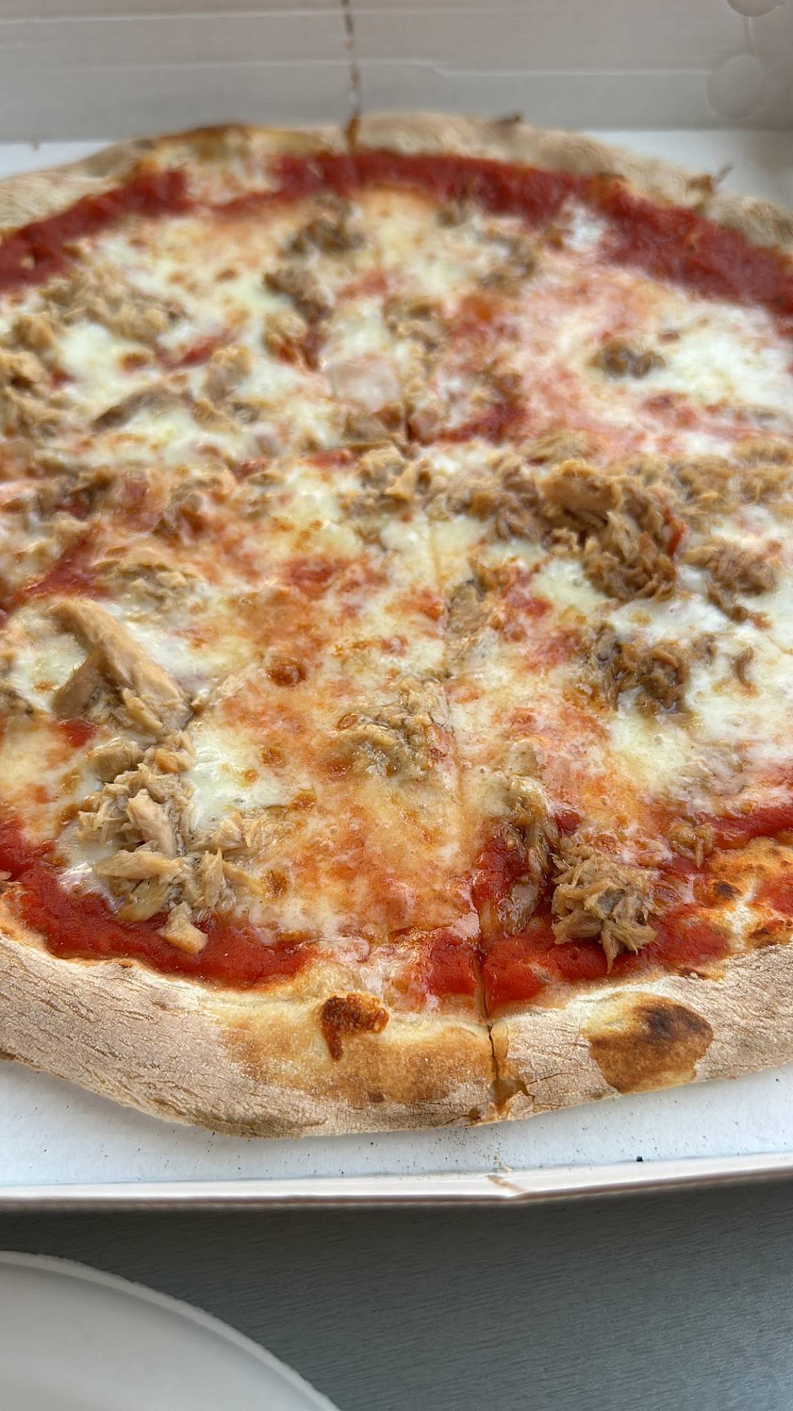 Menu di Pizzeria Magic Export 