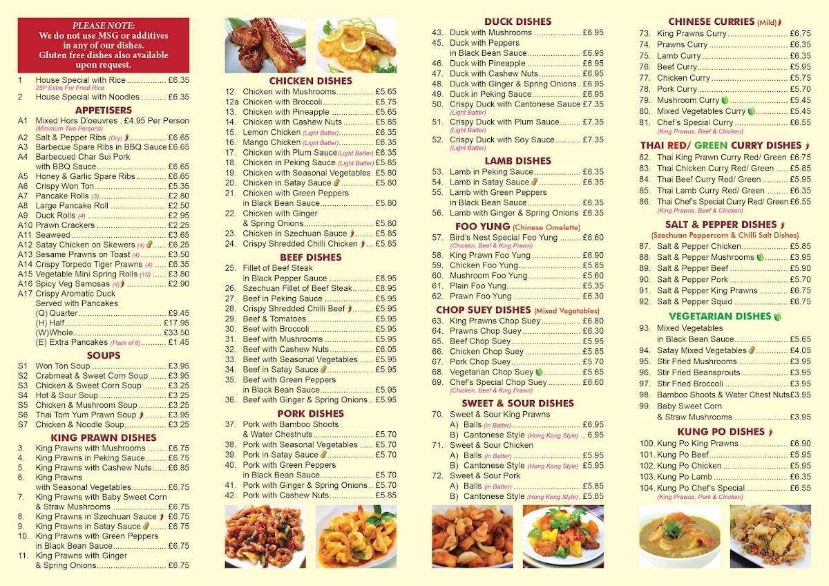 Menu at Birds Nest Chinese Restaurant & Take Away Tavistock, Tavistock