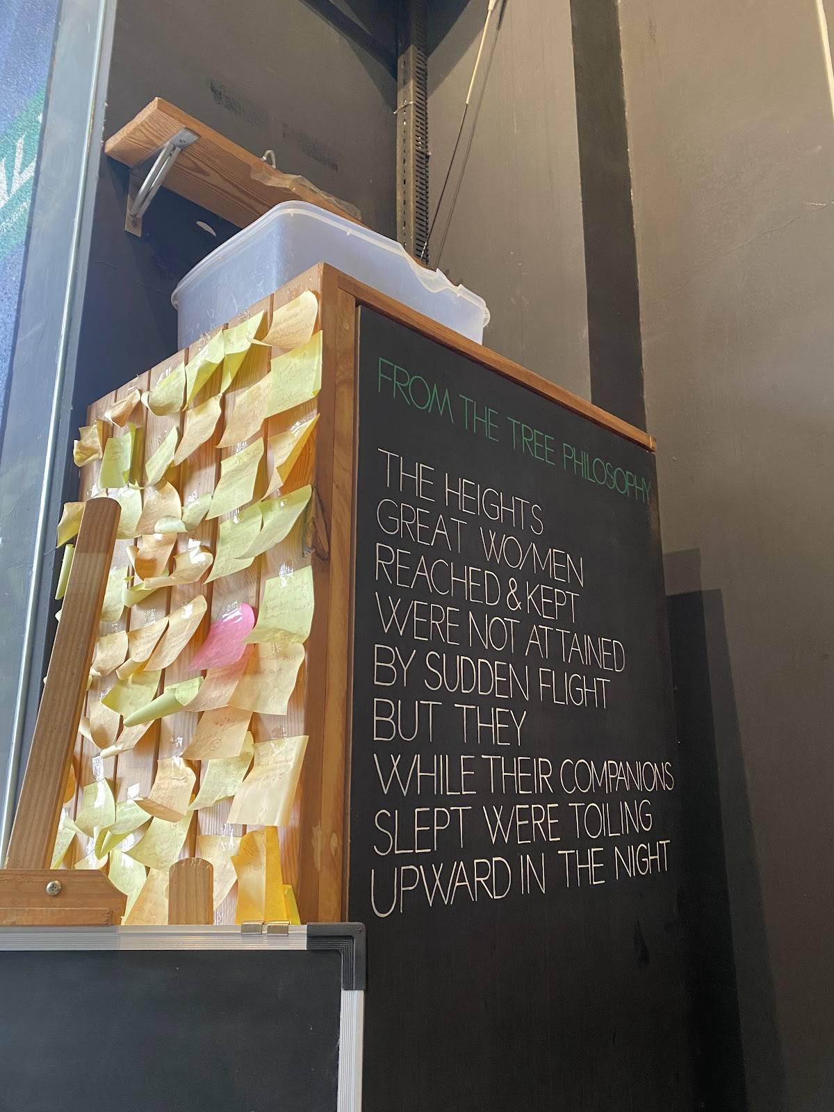 Cafe from the tree, Baner menu