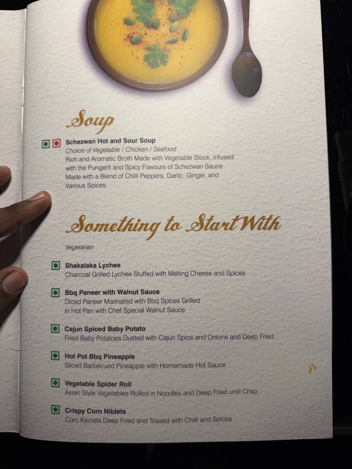 SkyLoft Roof Top Restaurant - Feathers A Radha Hotel menu