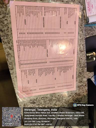 Manu family Resturant menu