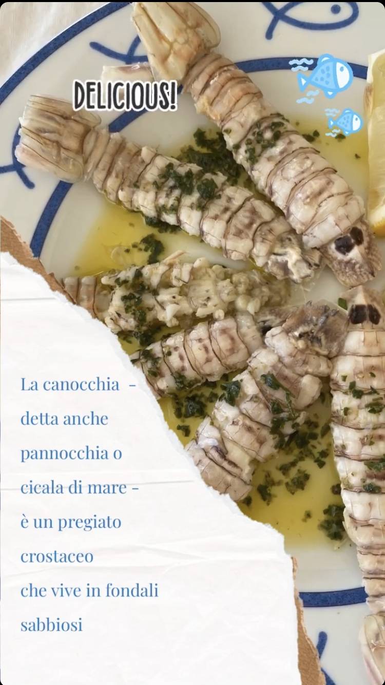 Menu di La Spiaggiola 