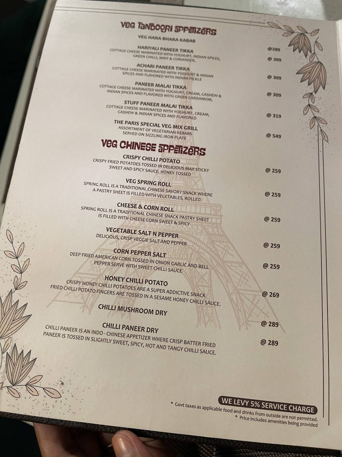 Menu at THE PARIS MULTICUISINE FINE DINE RESTAURANT, Rohtak