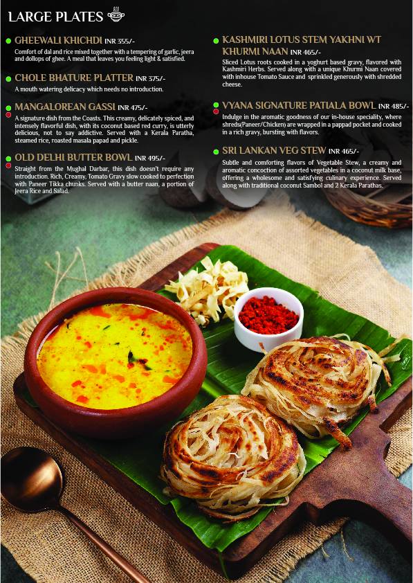 VYANA - World Cuisine Mocktails Al Fresco Rooftop Dining menu