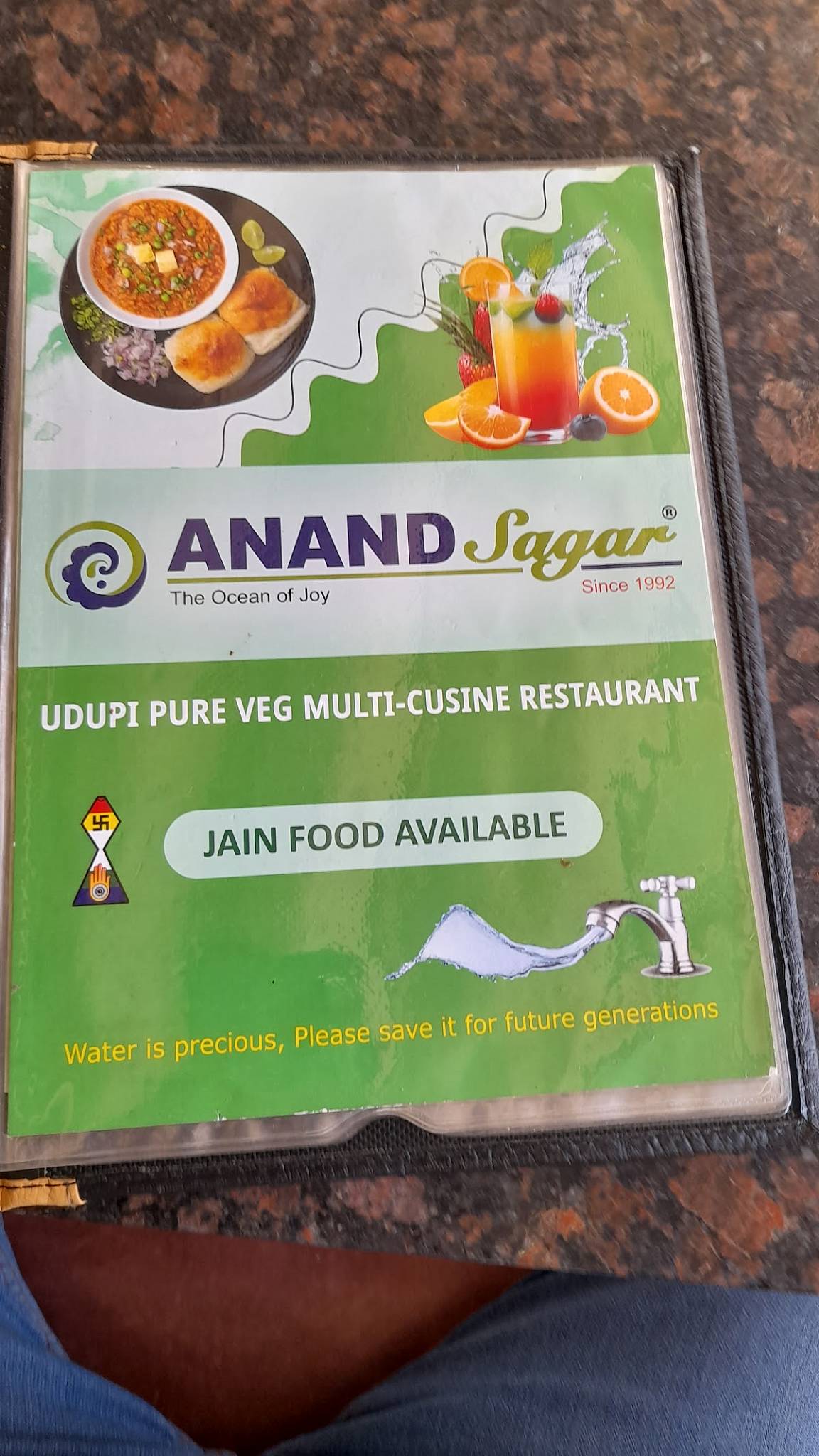 Anand Sagar Multi Cuisine Restaurant menu