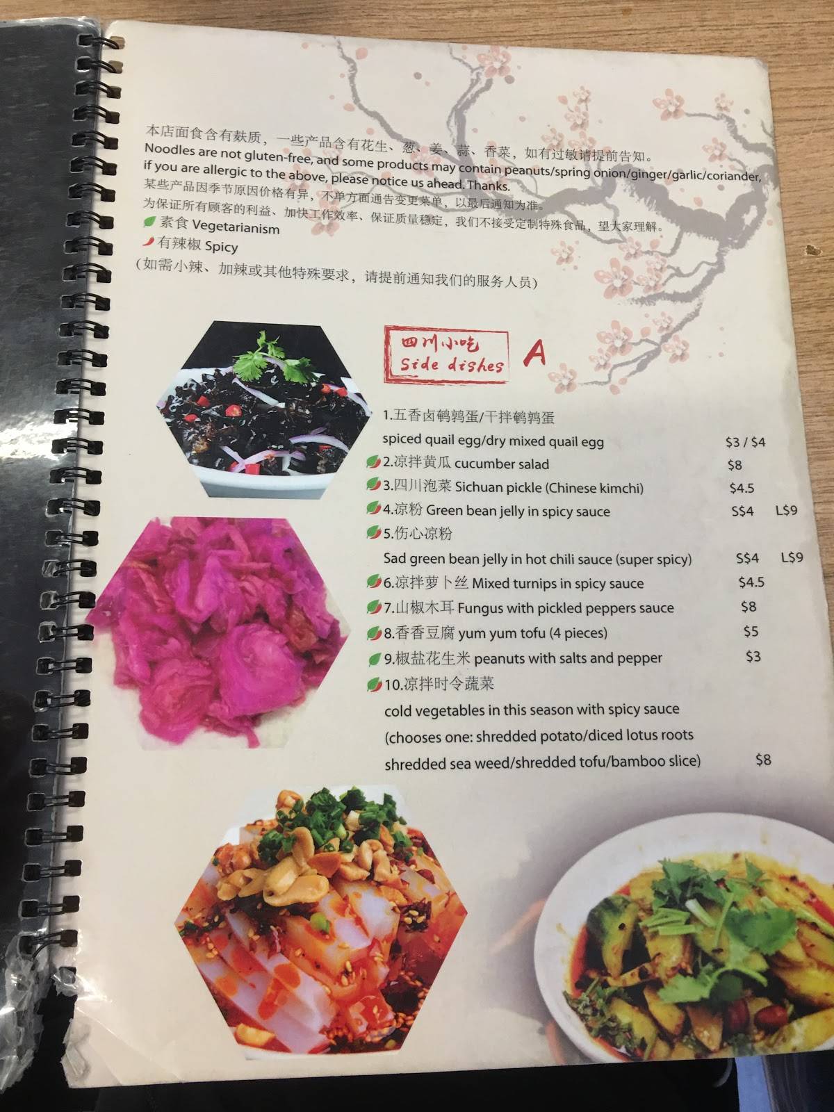 Menu at Eden Noodles Cafe, Auckland, 105 Dominion Rd