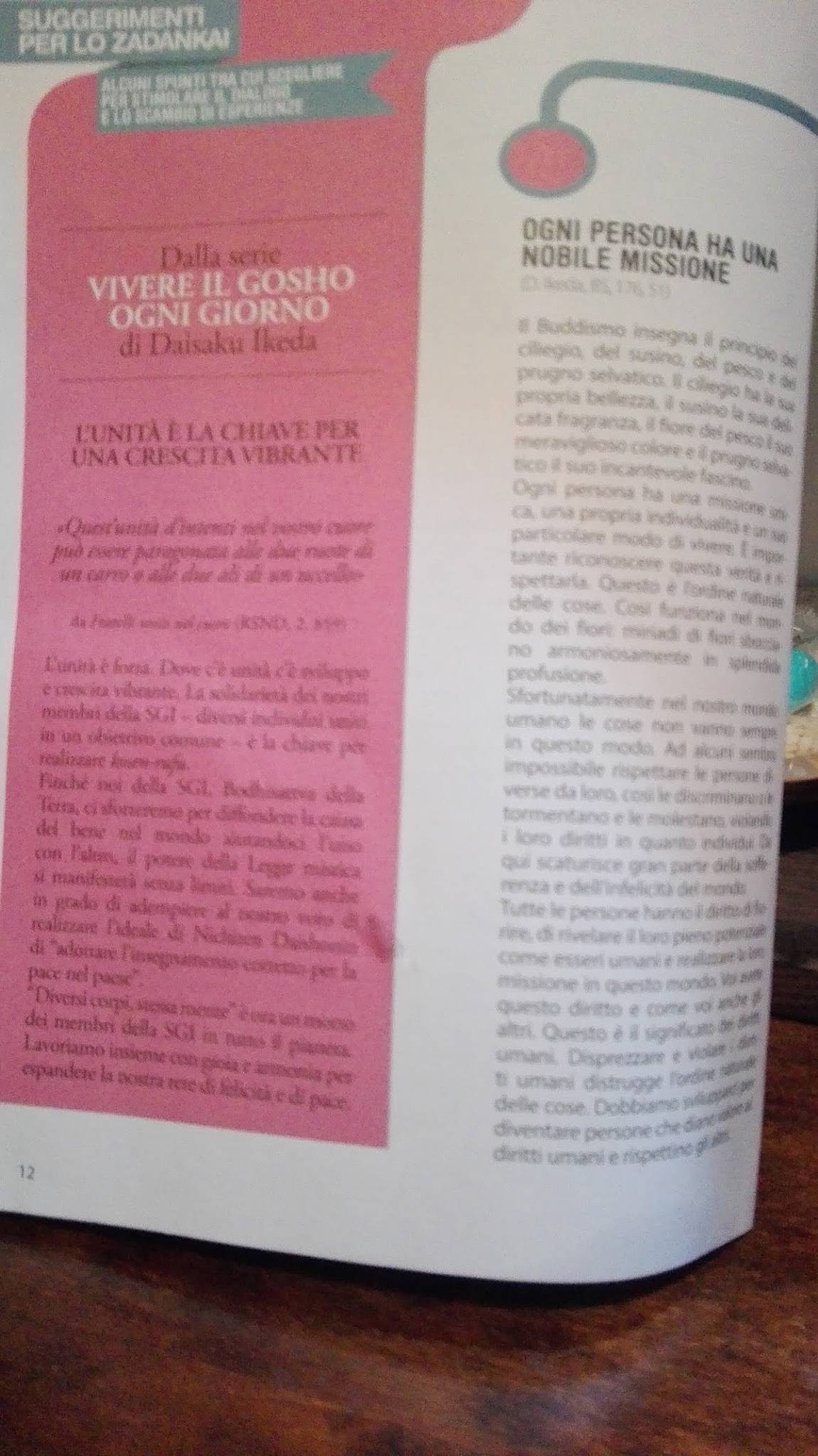 Menu di Il Ritrovo ( SCERNE DI PINETO) 