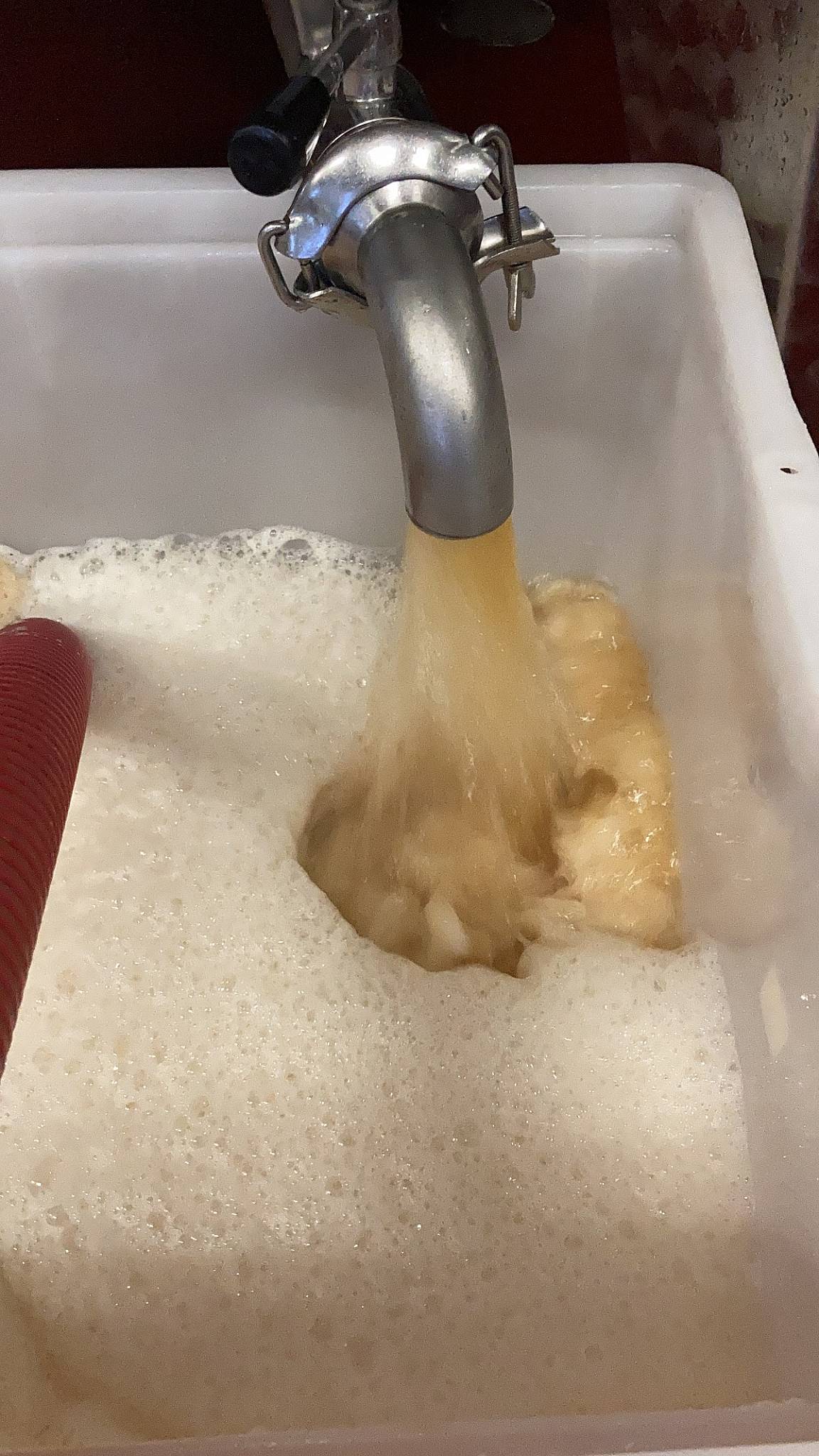 Menu di La Volpe e L'uva 