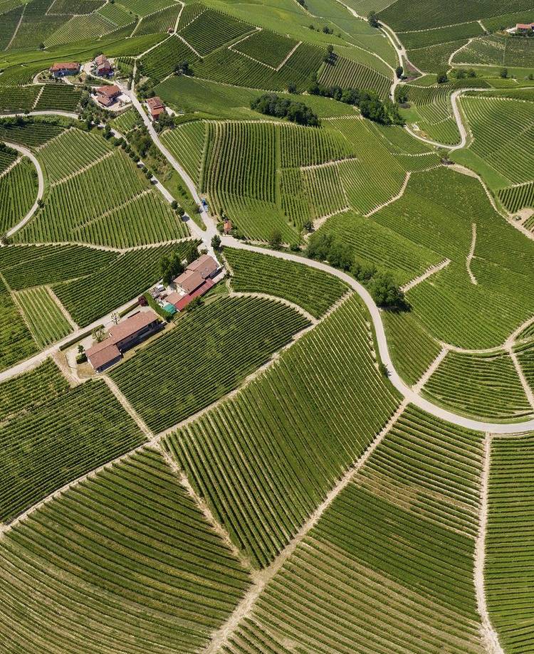 Menu di La Volpe e L'uva 