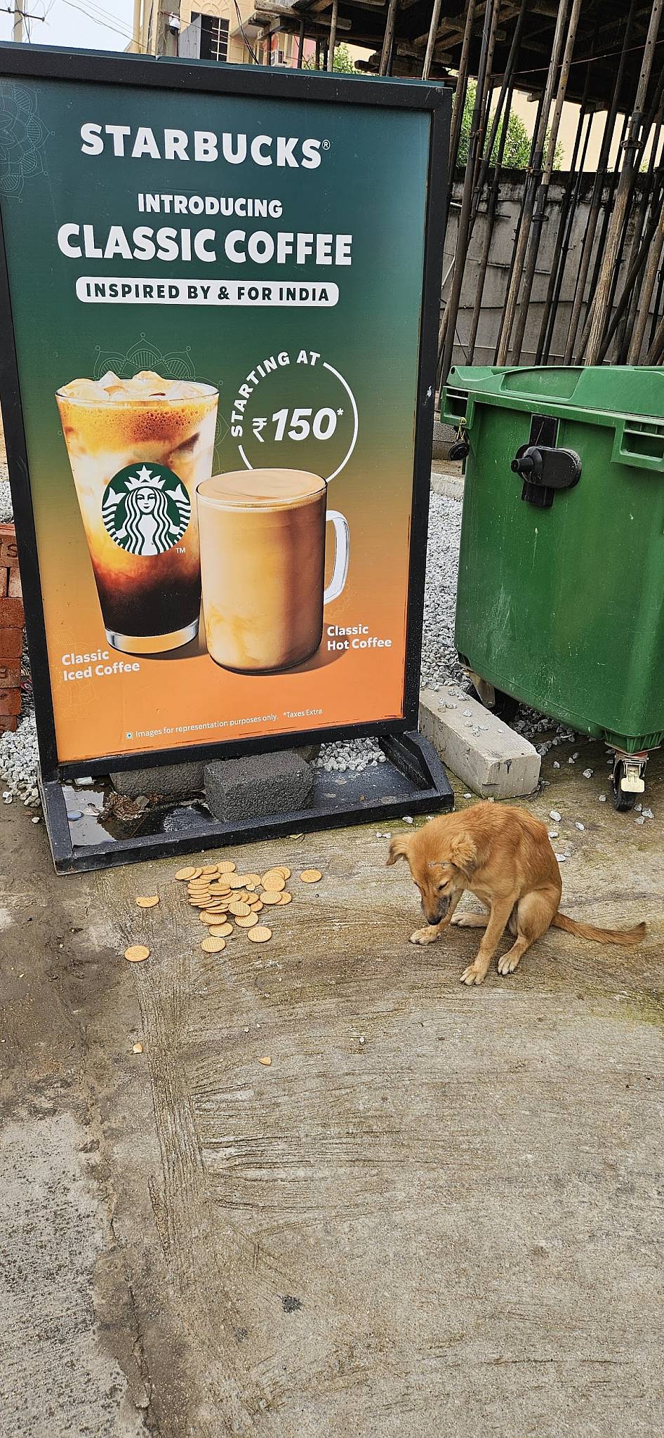 Starbucks menu